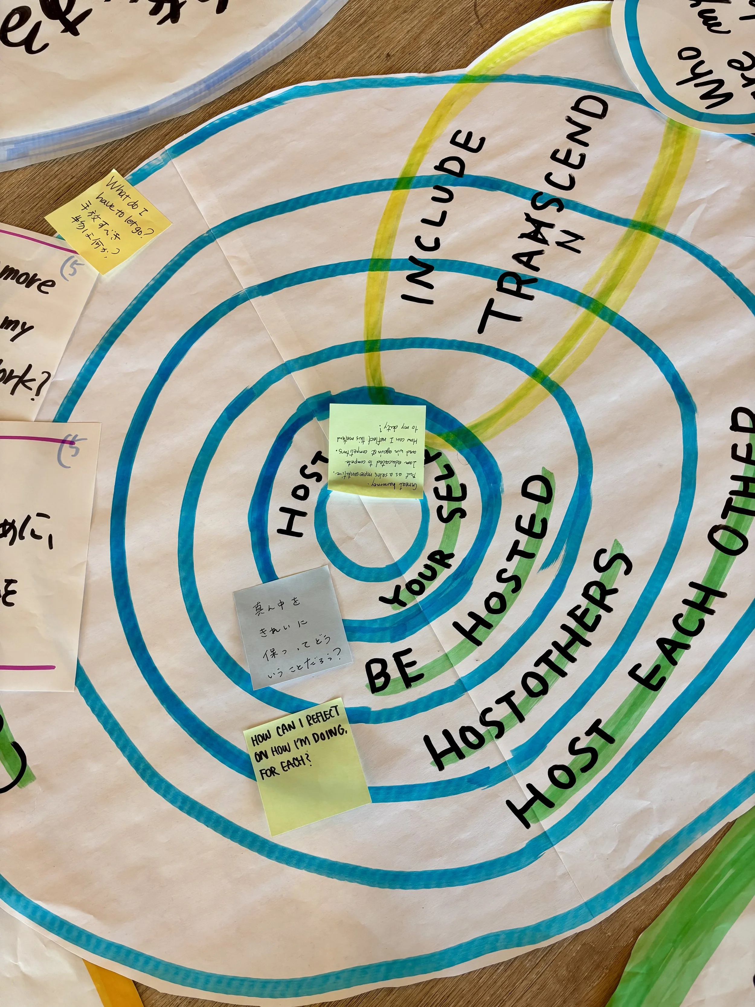 Info call for the Art of hosting and harvesting training