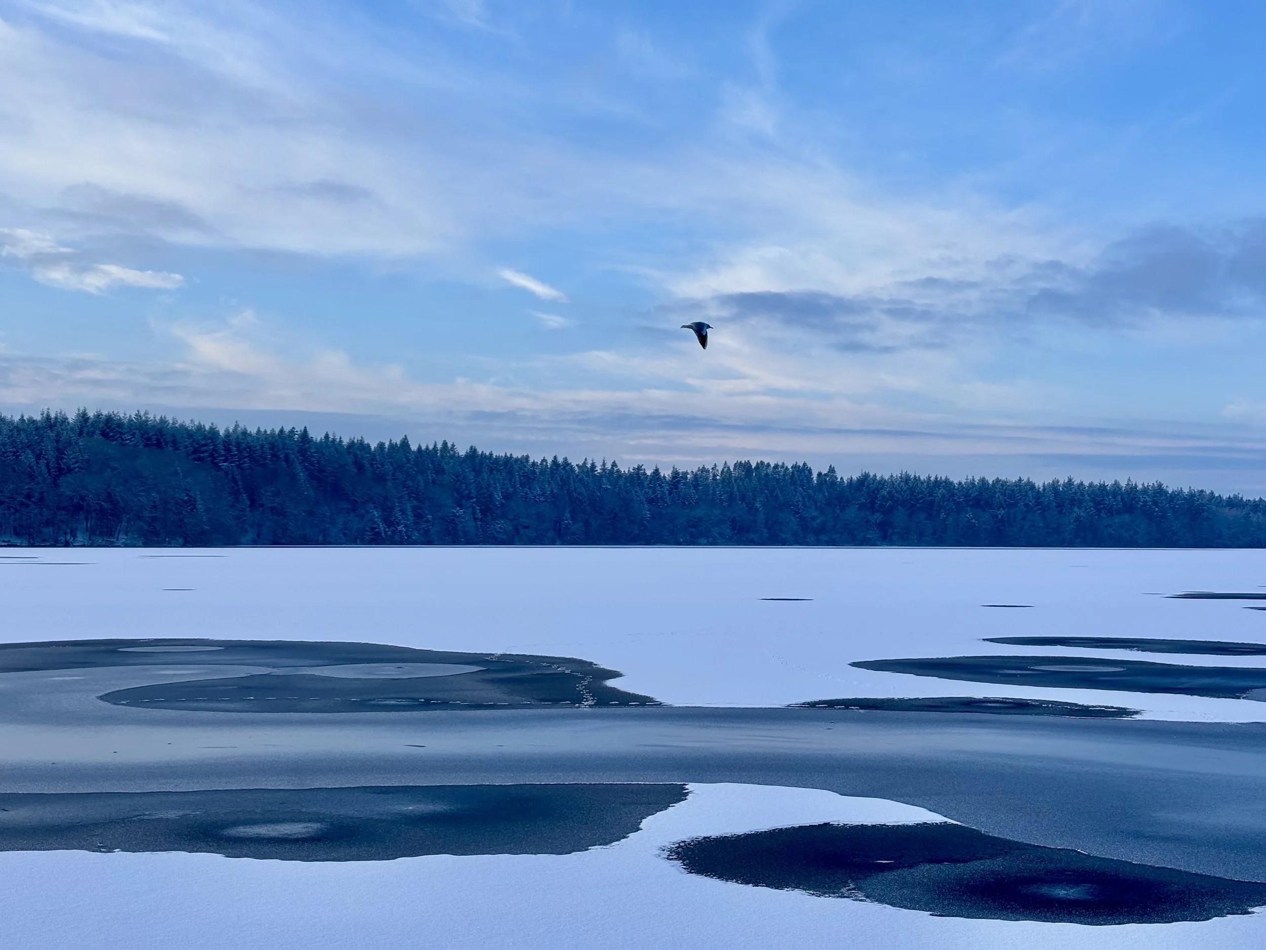 Practising for Peace - winter dojo at Himmelbjerggården