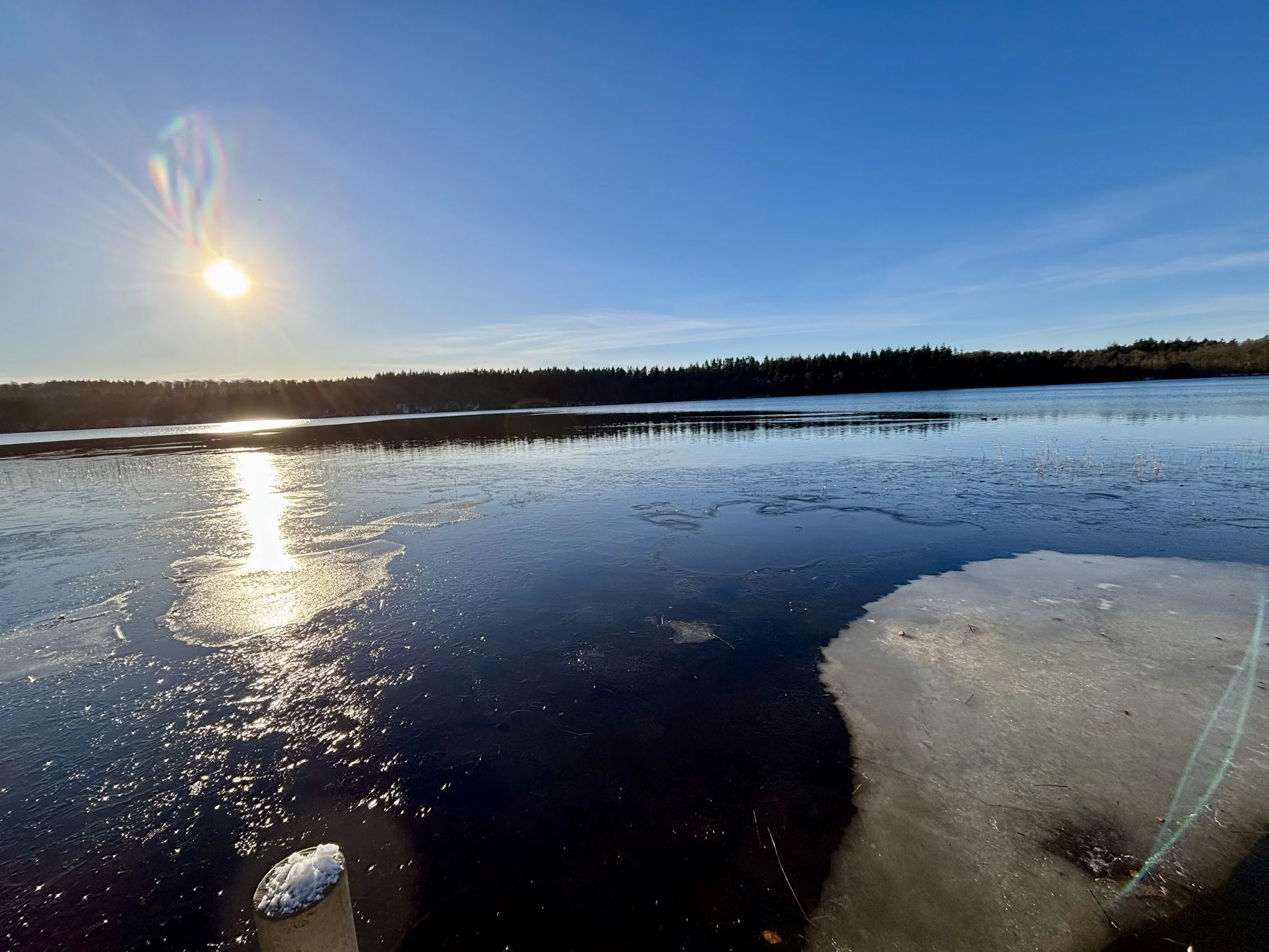 Onsite Flow Game host training in Sejs, by Silkeborg, Jutland Denmark  