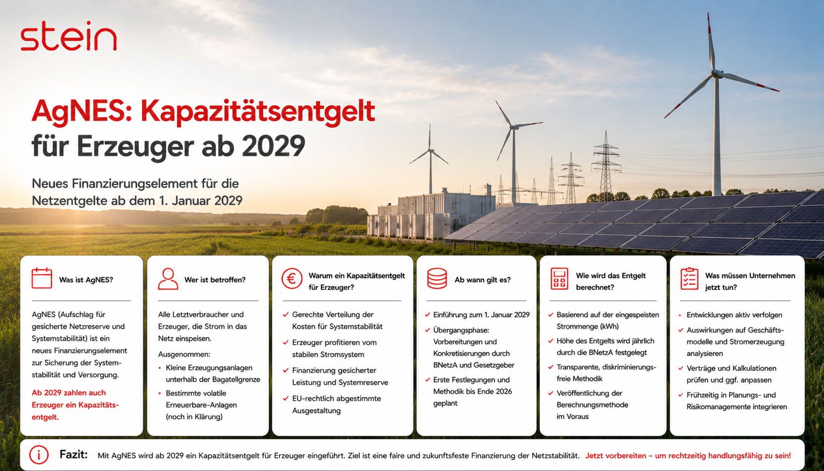 Erzeuger und das neue Kapazitätsentgelt: Wer zahlt für die Netzfinanzierung? 