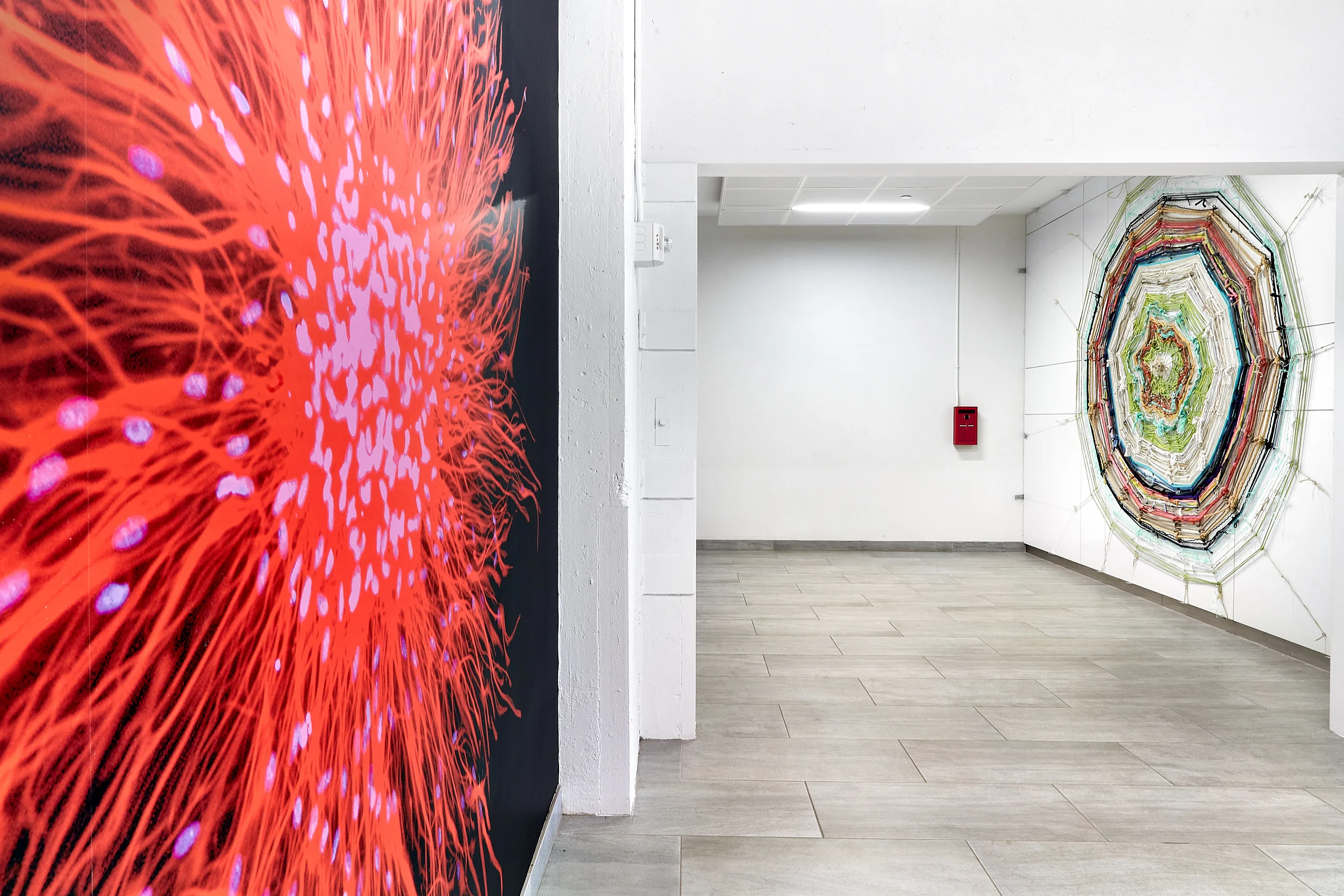 Richelle Gribble: Community Web Photography: On White Wall