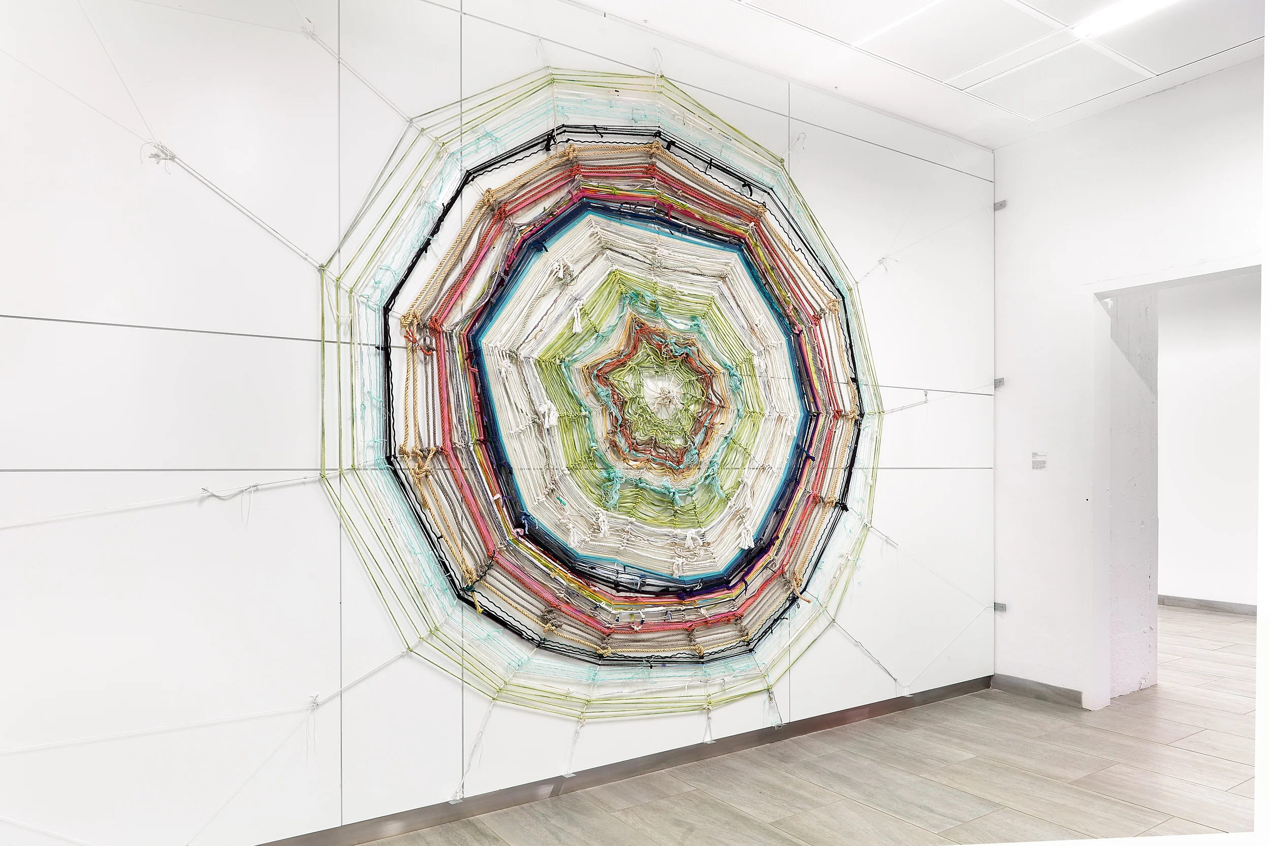 Richelle Gribble: Community Web Photography: On White Wall