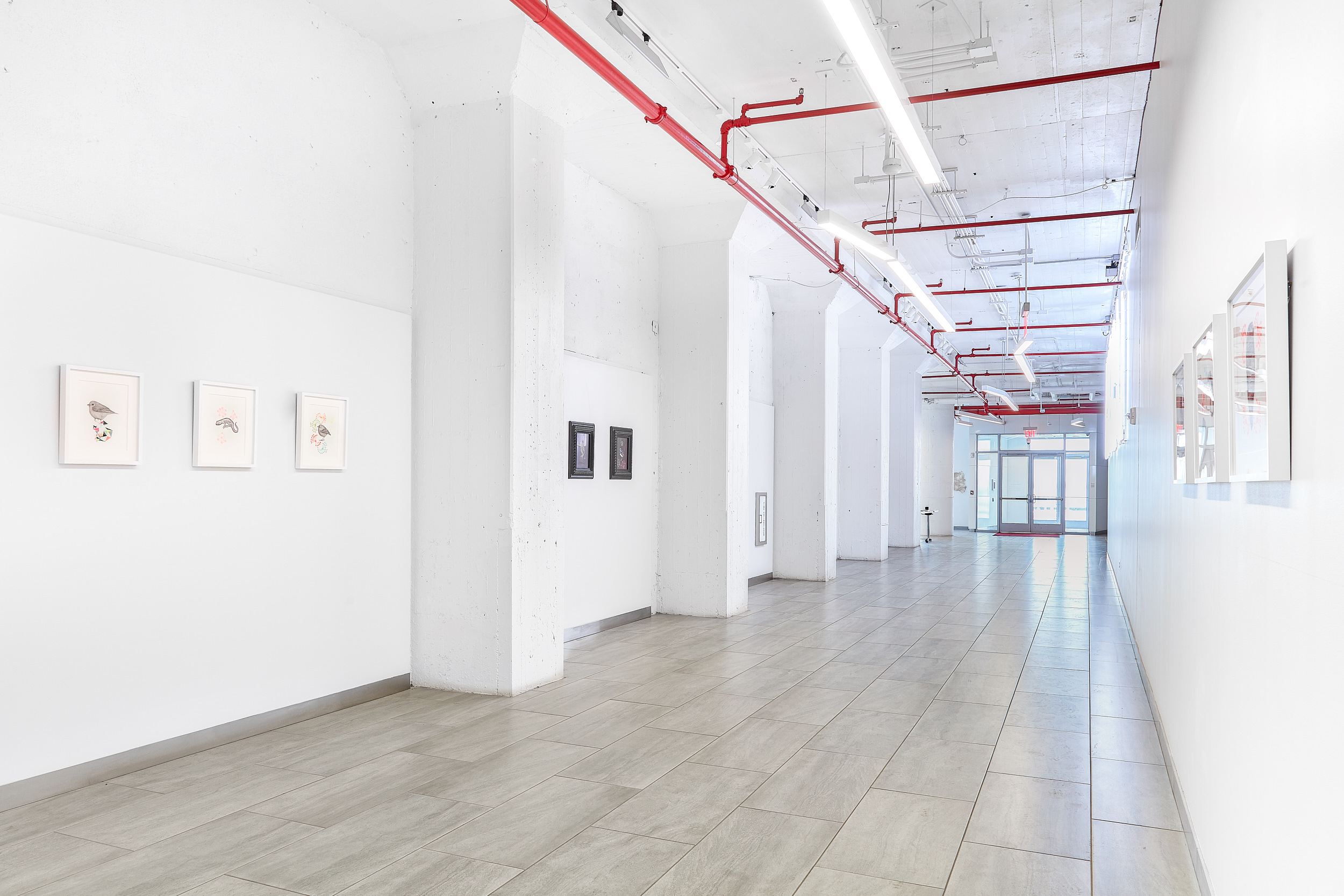  Spontaneous Emergence of Order, Installation View Photography: On White Wall 