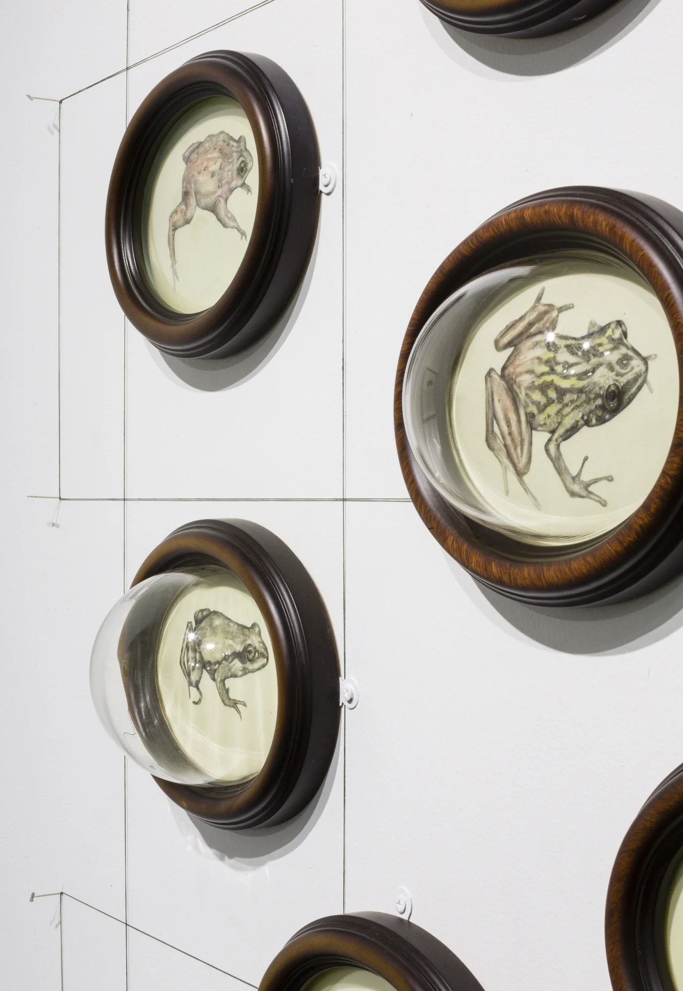 Tanya Chaly: Cascade Index, Detail Photography: On White Wall