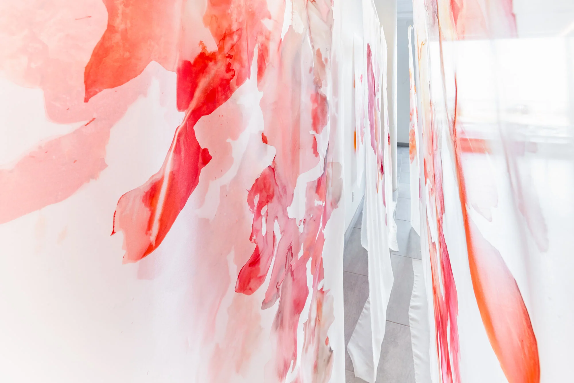 Michal Gavish: Hidden Features Photography: On White Wall