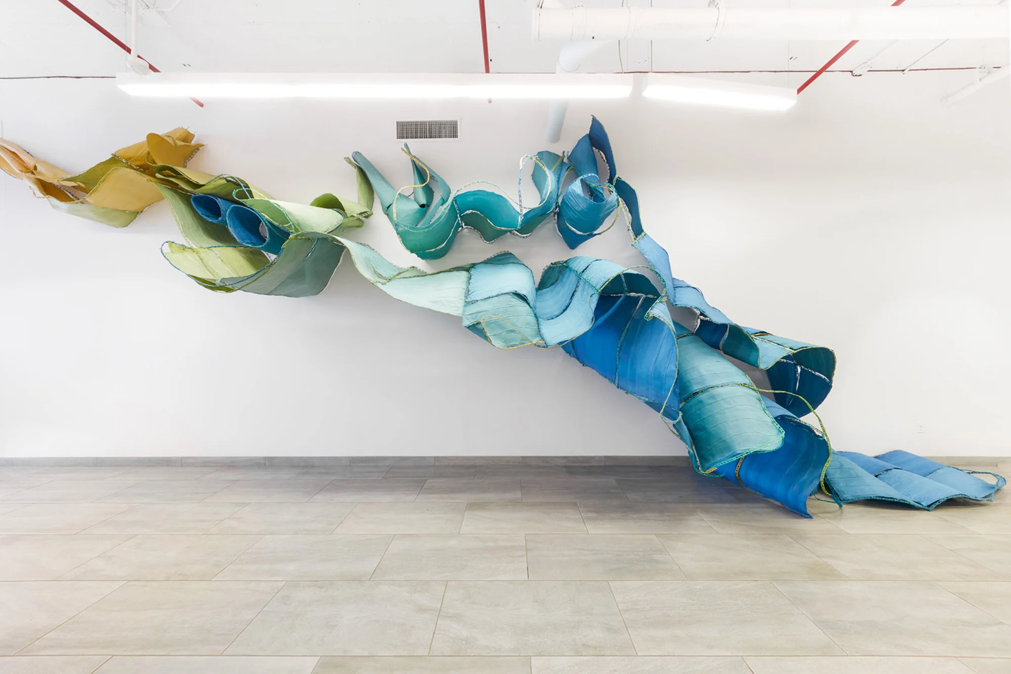 Nancy Cohen: Elements of a General Theory of Hydrodynamics Photography: On White Wall