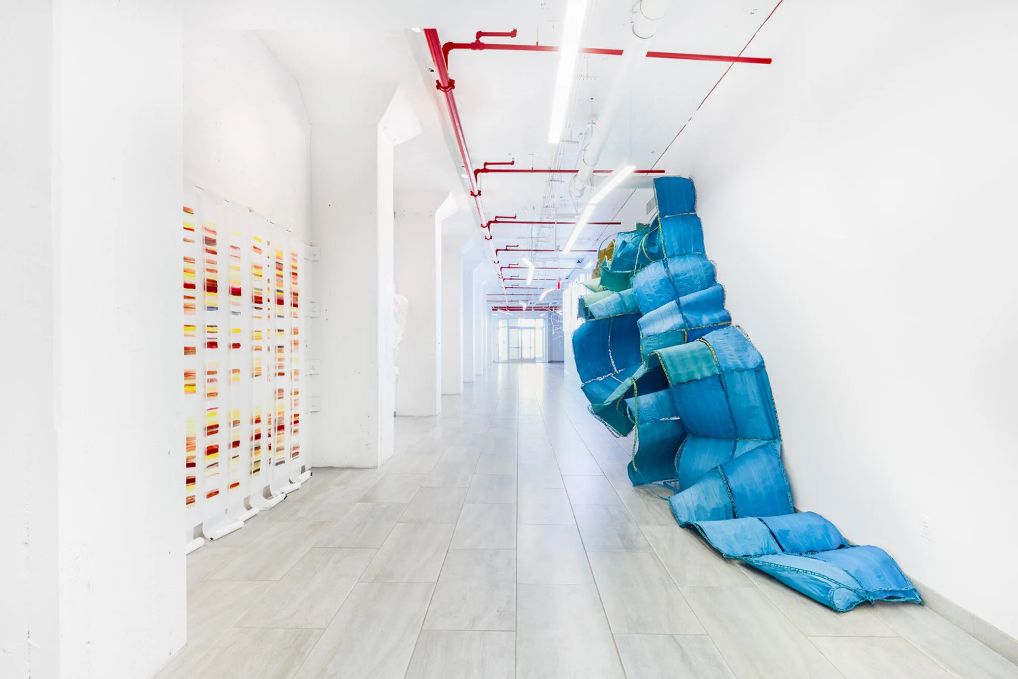 Nancy Cohen: Elements of a General Theory of Hydrodynamics Photography: On White Wall