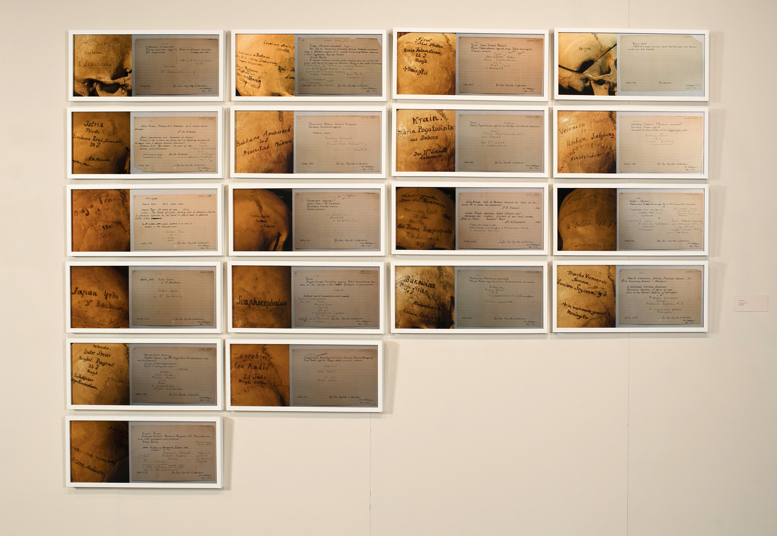  Patricia Olynyk  The Mutable Archive , 2012 Series of nineteen digital C-Prints on archival paper 70” x 150” 