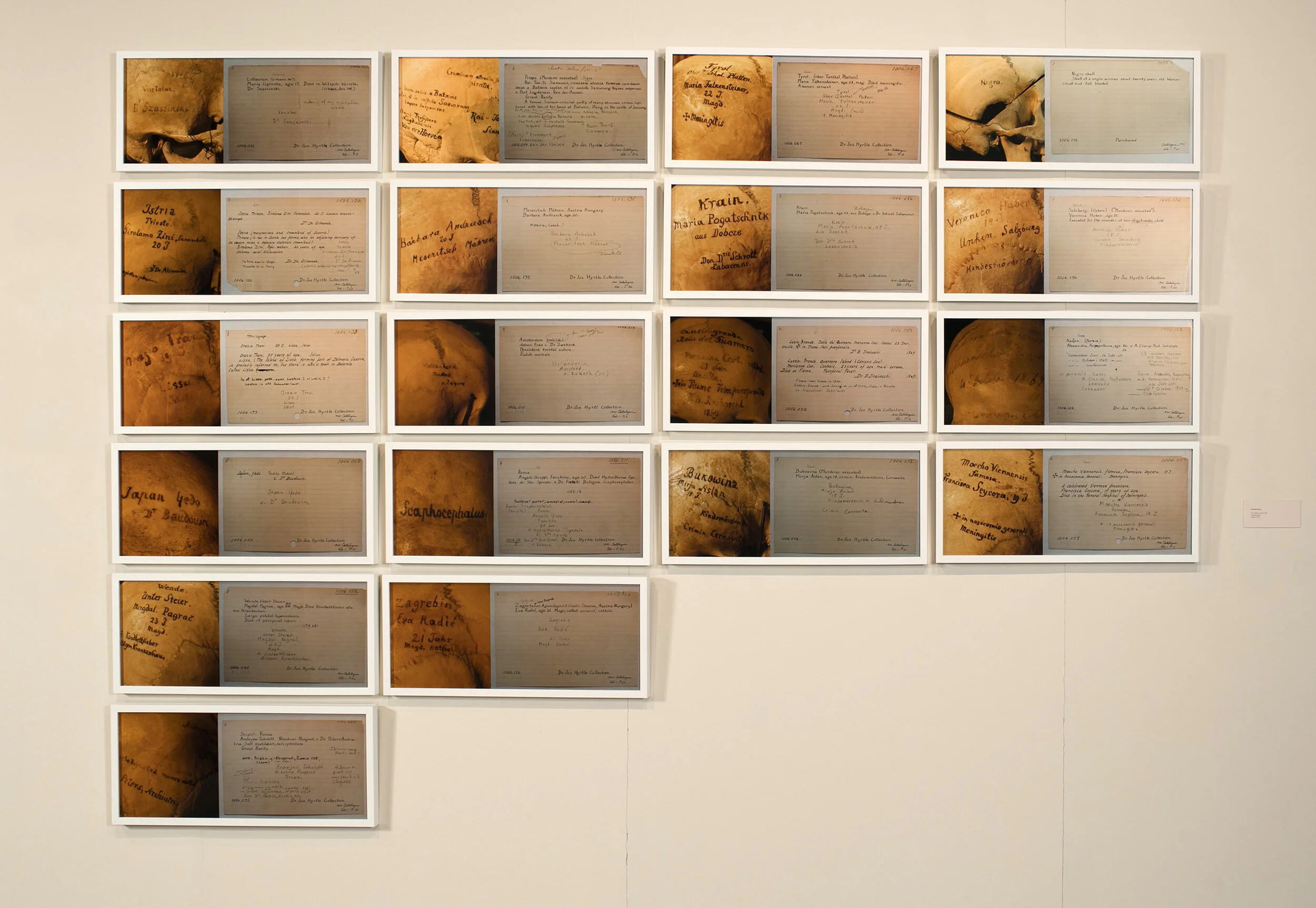 Patricia Olynyk The Mutable Archive , 2012 Series of nineteen digital C-Prints on archival paper 70” x 150”