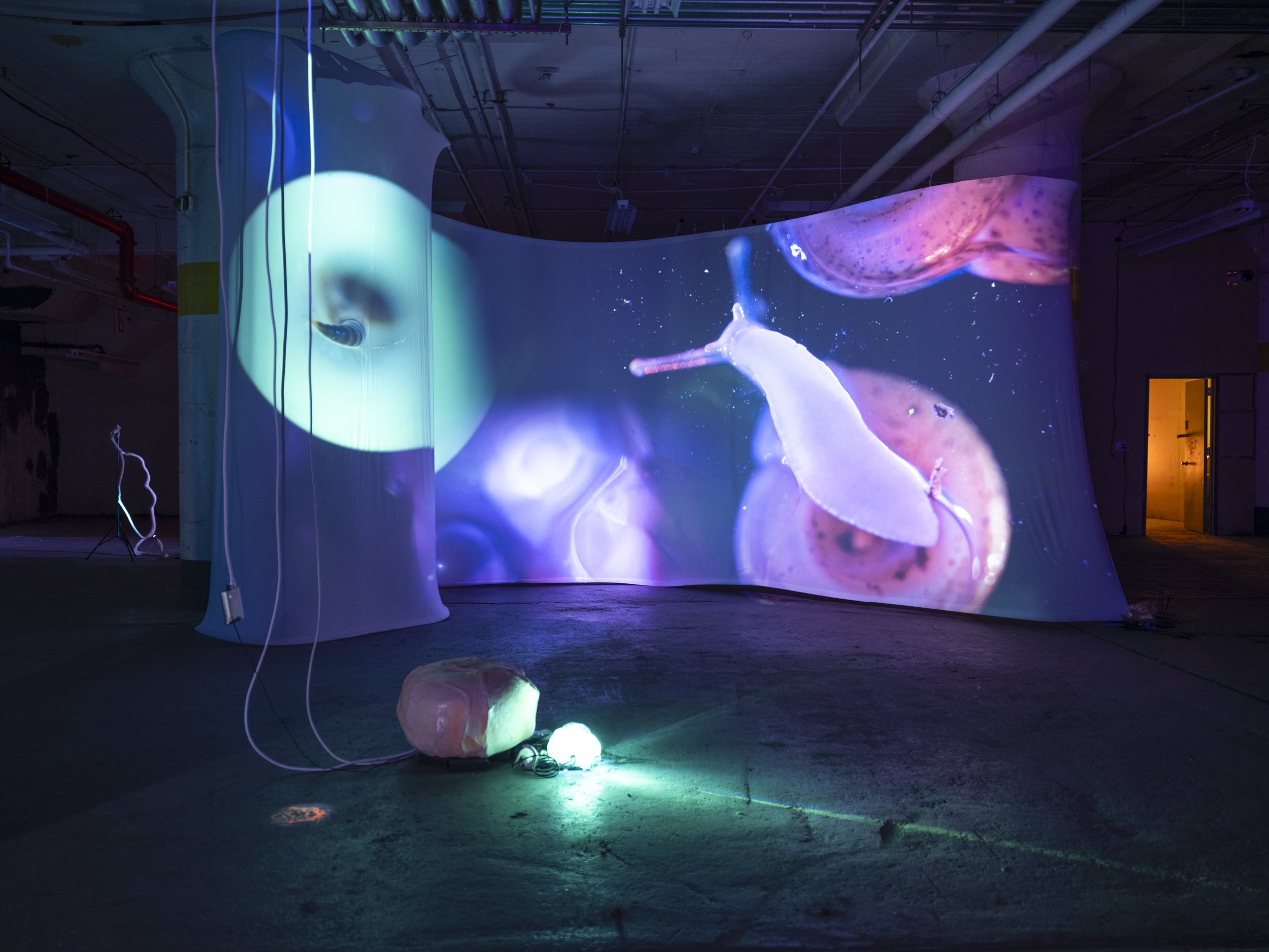   Slow Down Soft Body, Stay With Me ( 2023) Video instalation by  Katie Hubbell  Image credit: Yi Hsuan Lai 