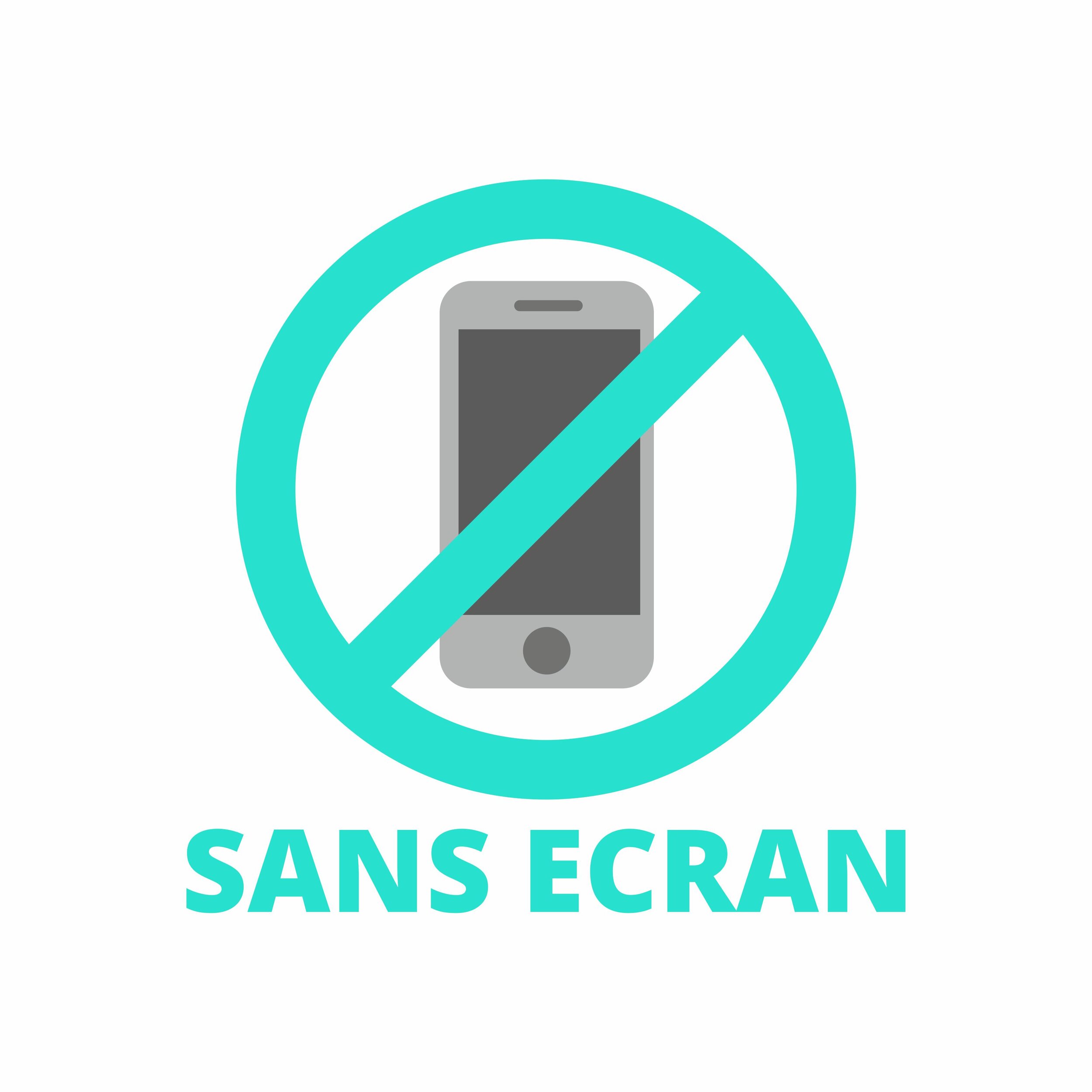 sans ecran.jpg