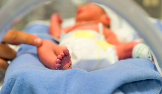 Le Piccolo, l’implant cardiaque qui sauve les bébés prématurés