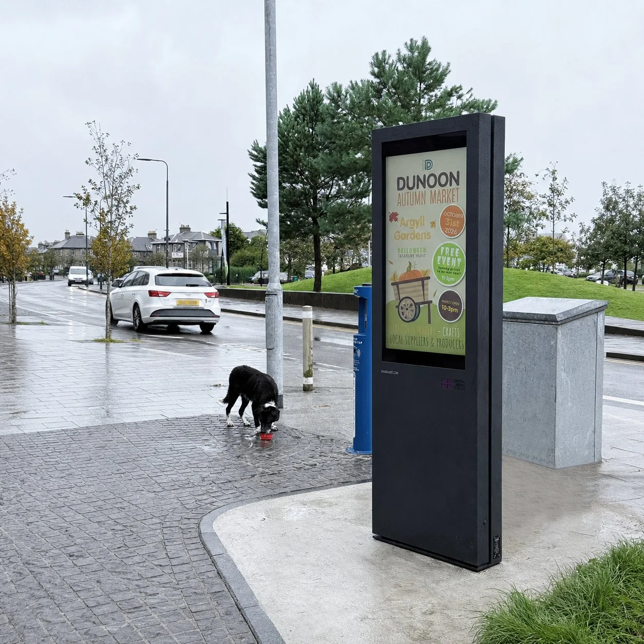 Case Study - imotion FLOW 46 Portrait Freestanding.jpg