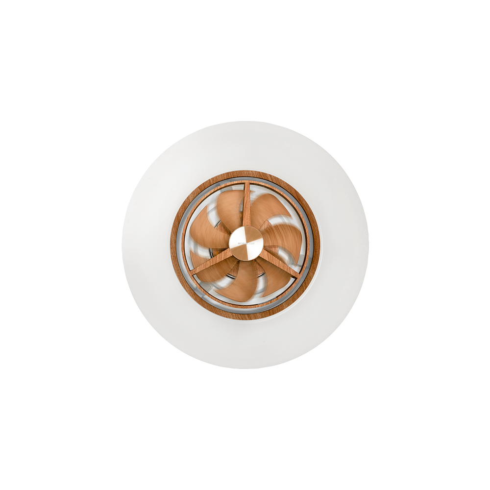 Ceiling Fan 天花風扇燈- 日本DOSHISHA Circulight Swing Advance