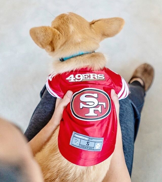 IT&rsquo;S GAME DAY⁣
⁣
🏈⁣
⁣
Who&rsquo;s gonna win today: Chiefs or Niners?!!⁣
⁣
🙌 ⁣
⁣
(I think we know who Feeny&rsquo;s cheering for)