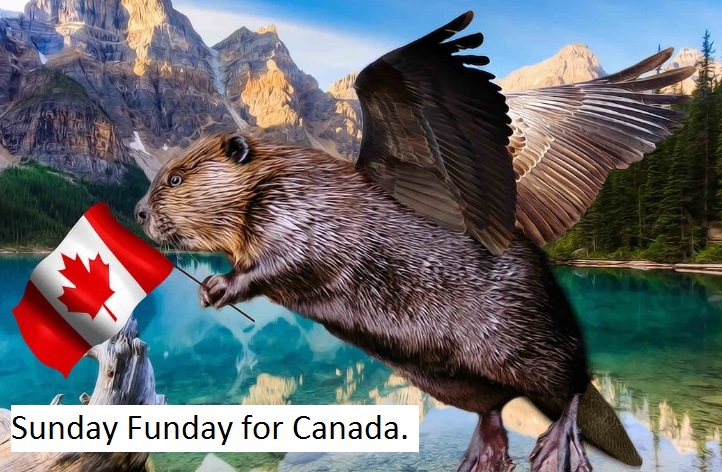 Flying-Beaver-with-a-Canadian-Flag--110001.jpg