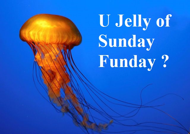 jellyfish-007.jpg