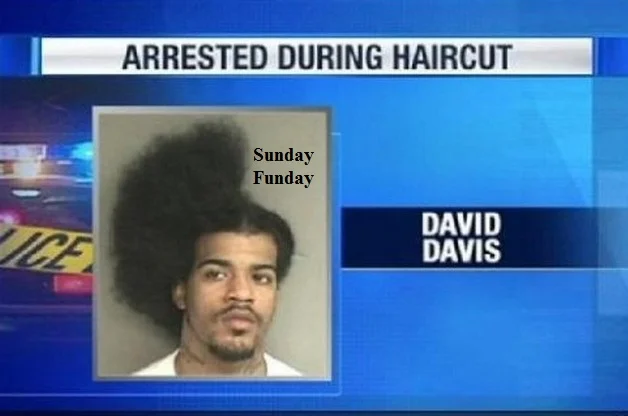 Random-Funnies-01.jpg