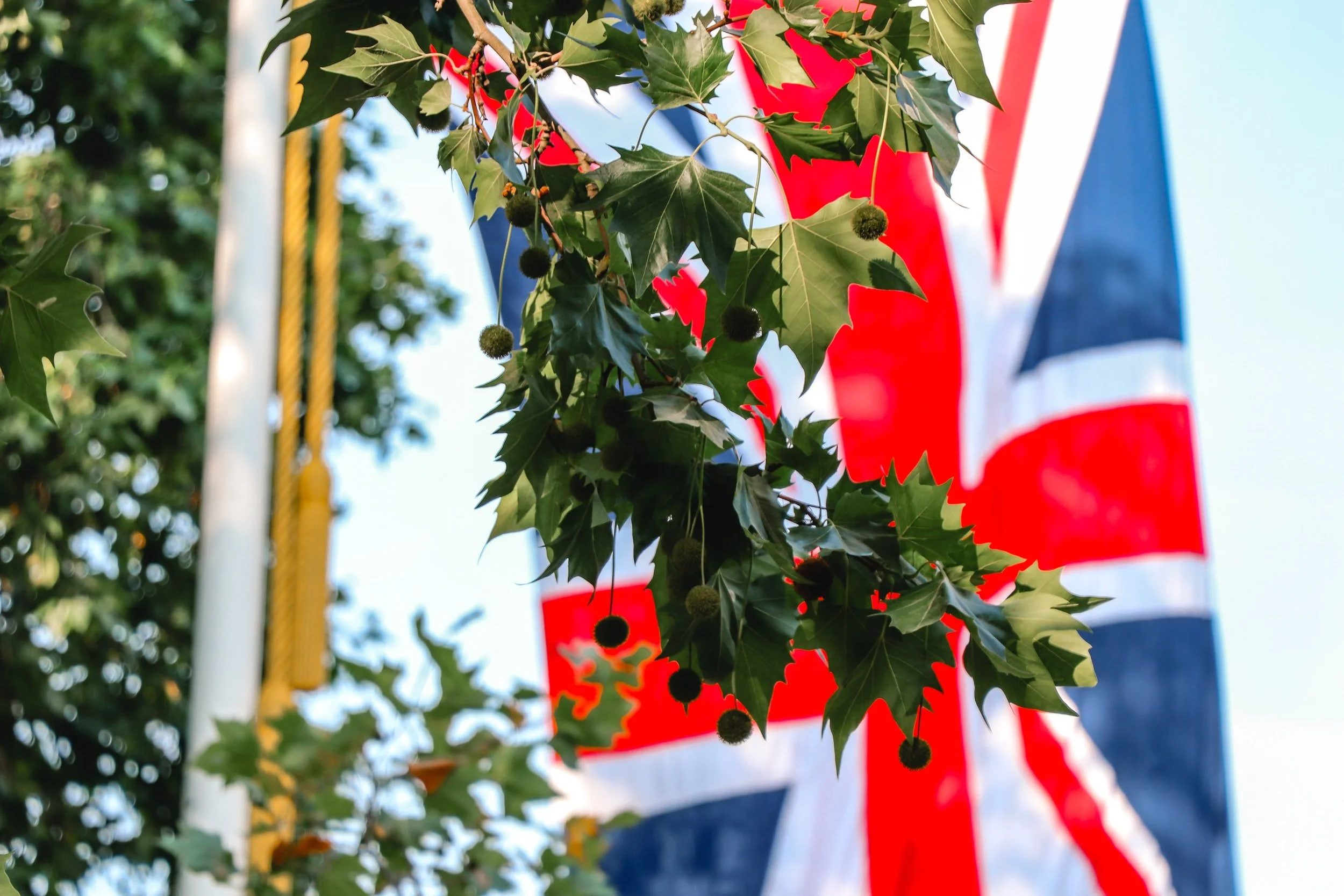 UK inflation hits 7%