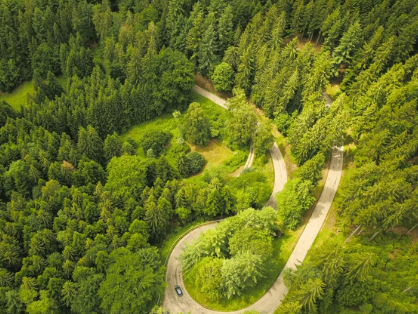 RedFX Update: Decisions, decisions – what just happened?