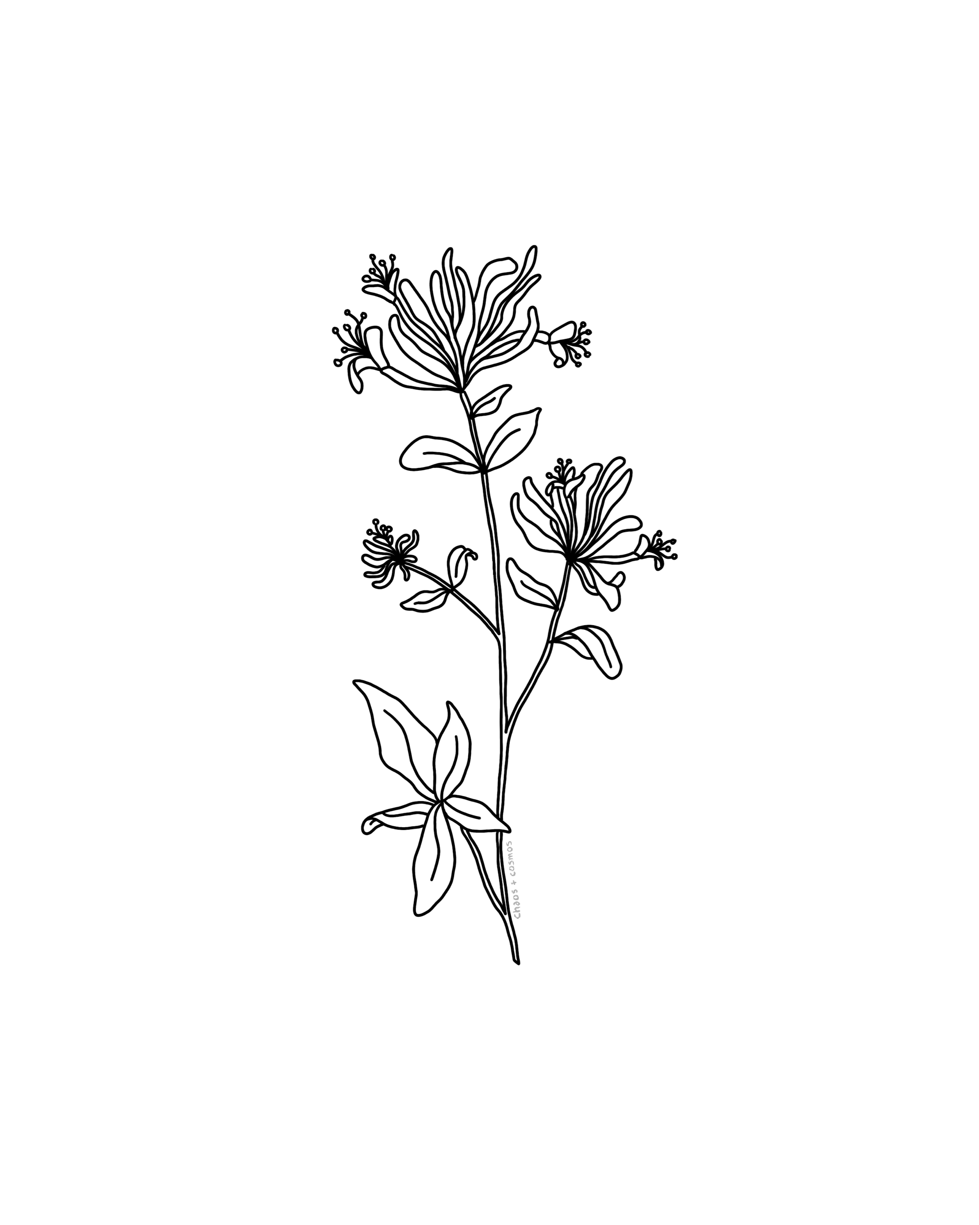 Honeysuckle Tattoo Designs - Hummingbird Tattoos 35 Cool Examples Design Press - Therefore, the symbolism of june flowers is always warm and passionate.