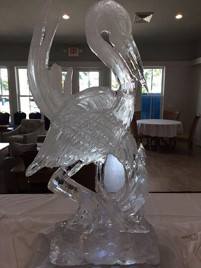 ice-figure-1.jpg