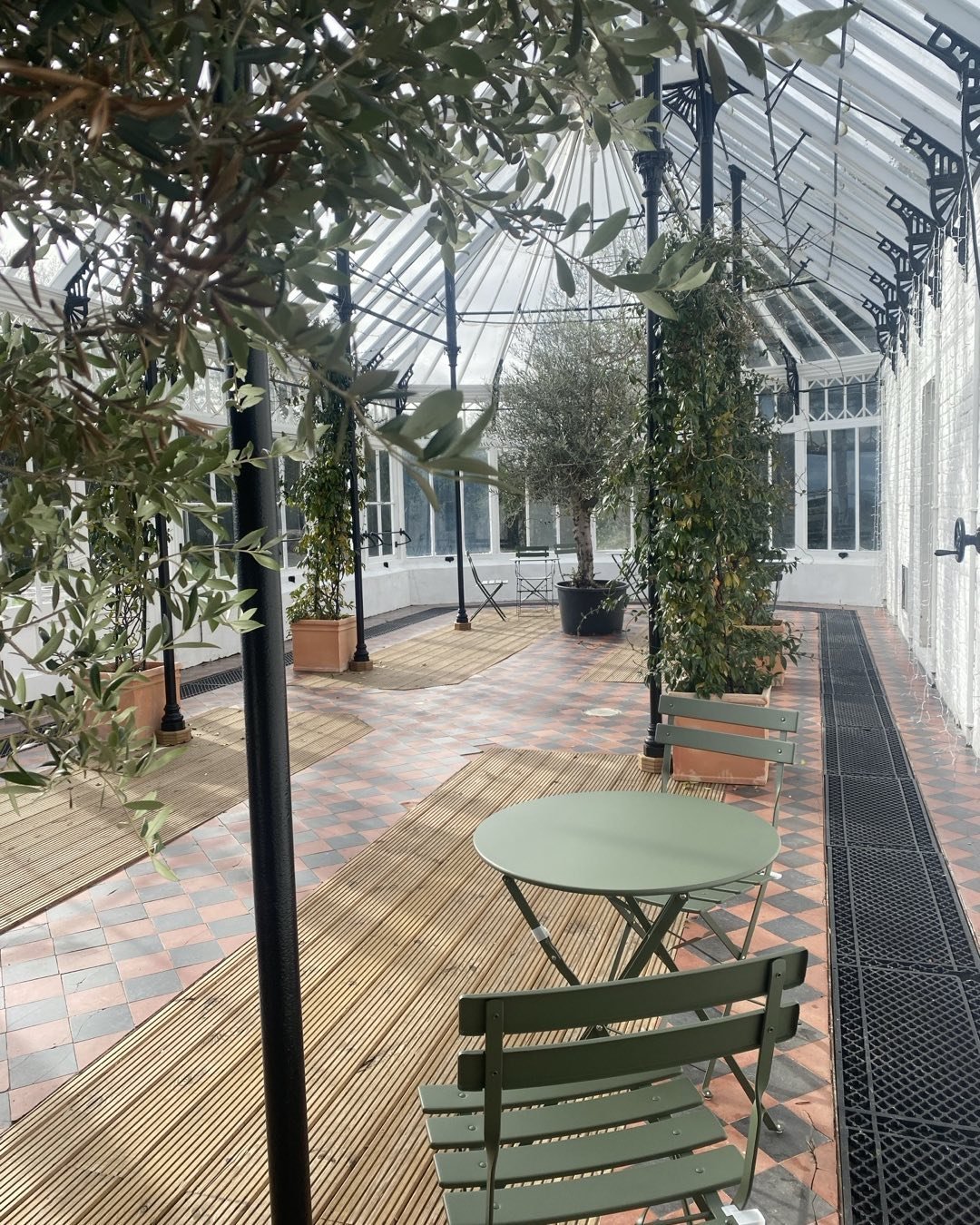 The orangey at Slindon House looking gorgeous in the Winter sunshine. ❤️