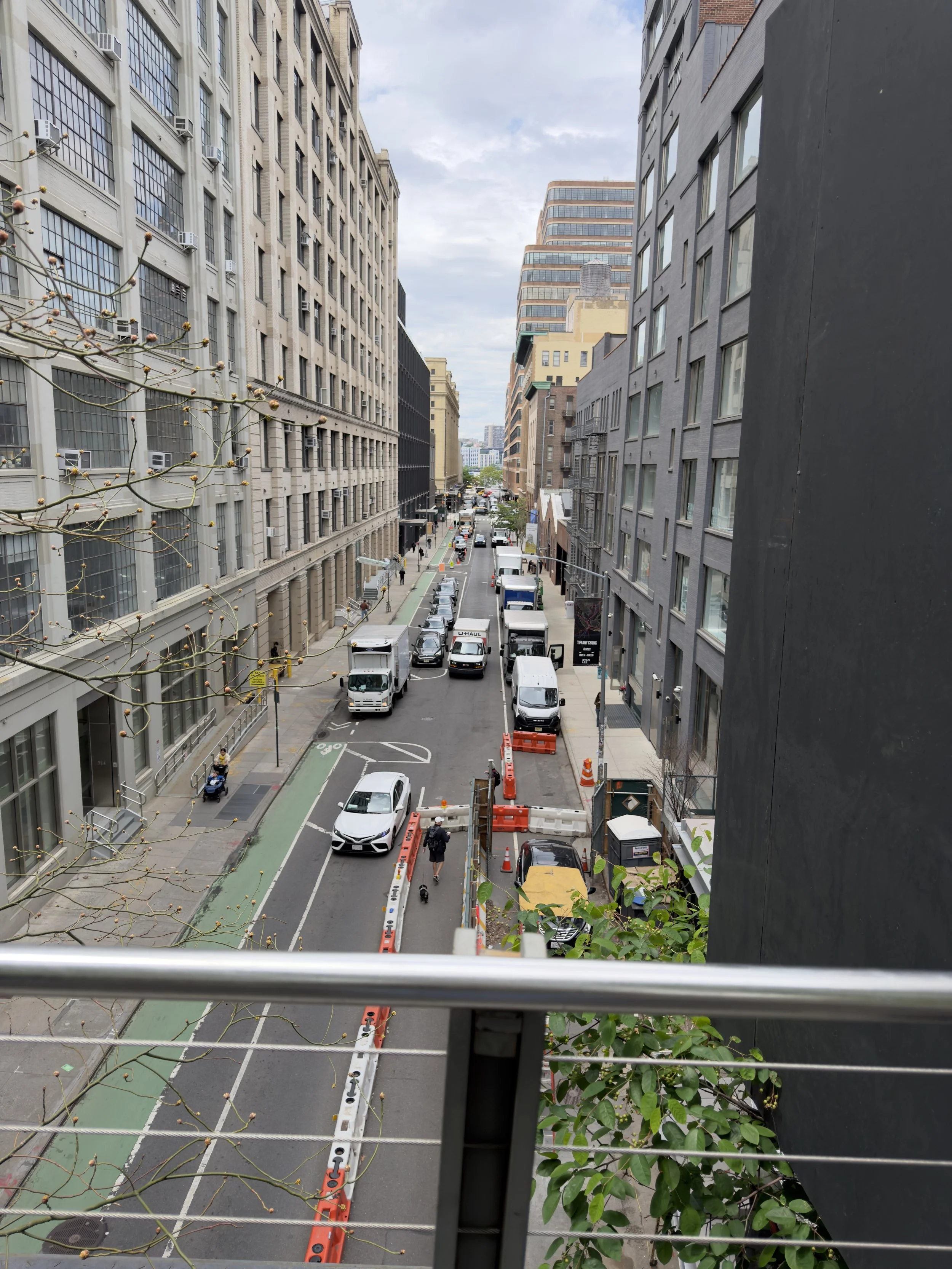 image of NYC from the high line