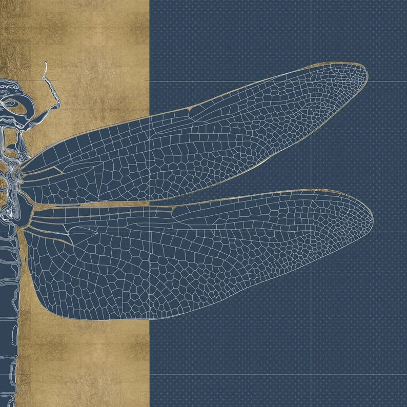 il_794xN.1371779685_pgy1.jpg