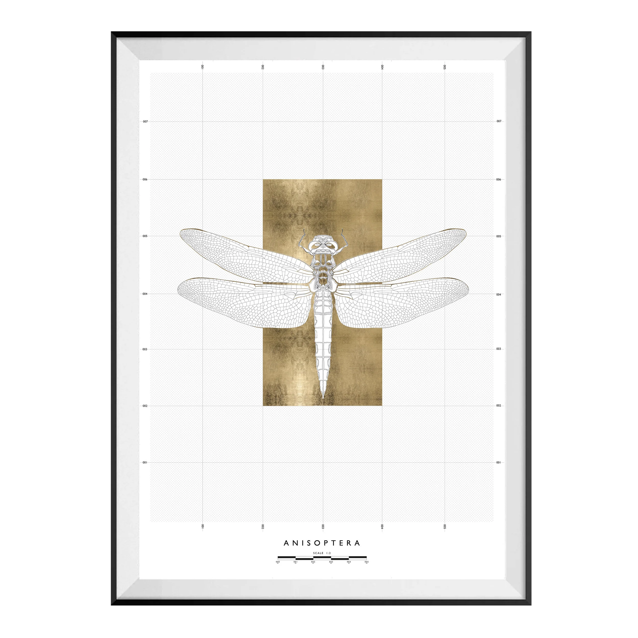24ct Creatures - Dragonfly