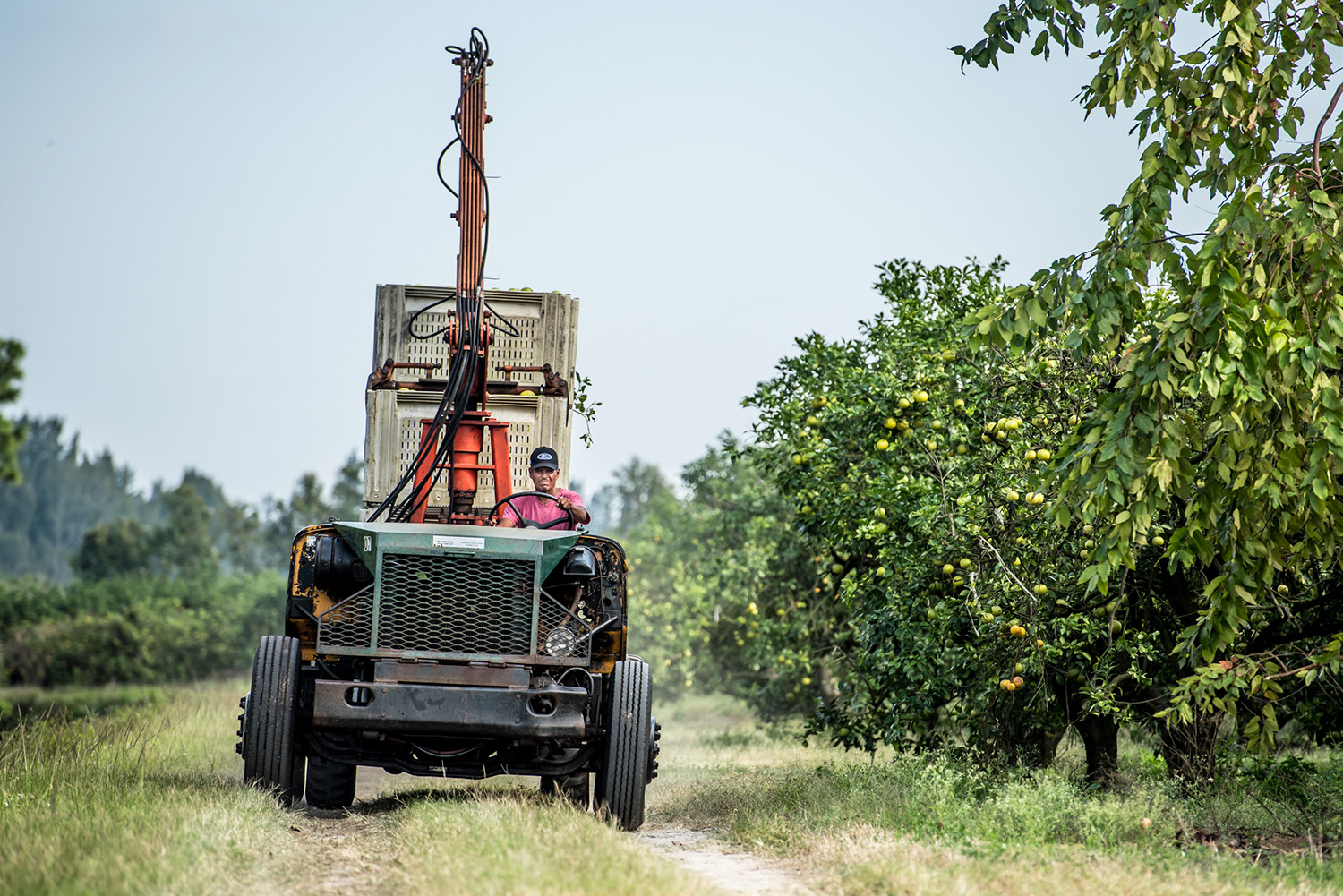 Farm Truck