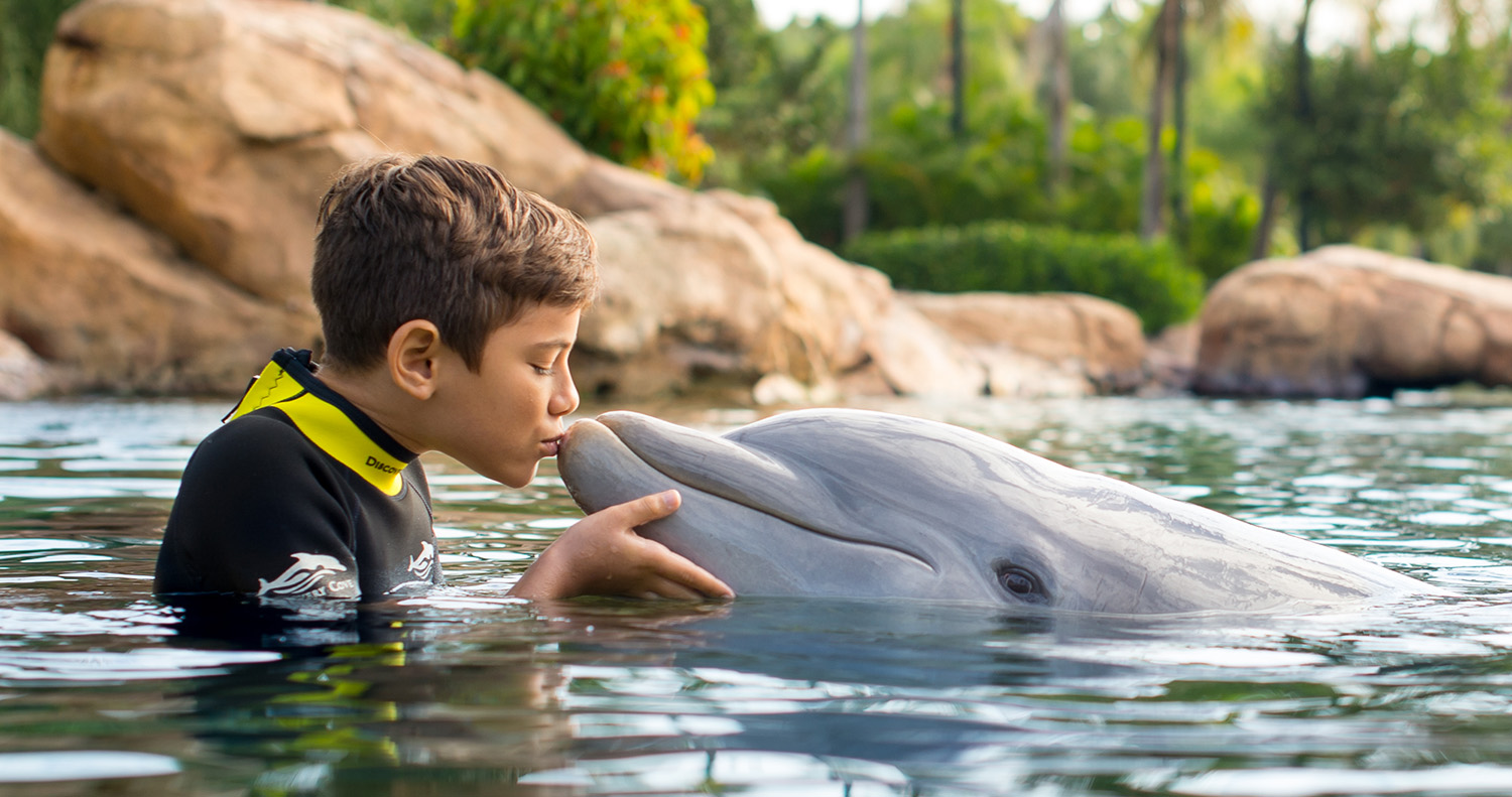 Dolphin Kiss