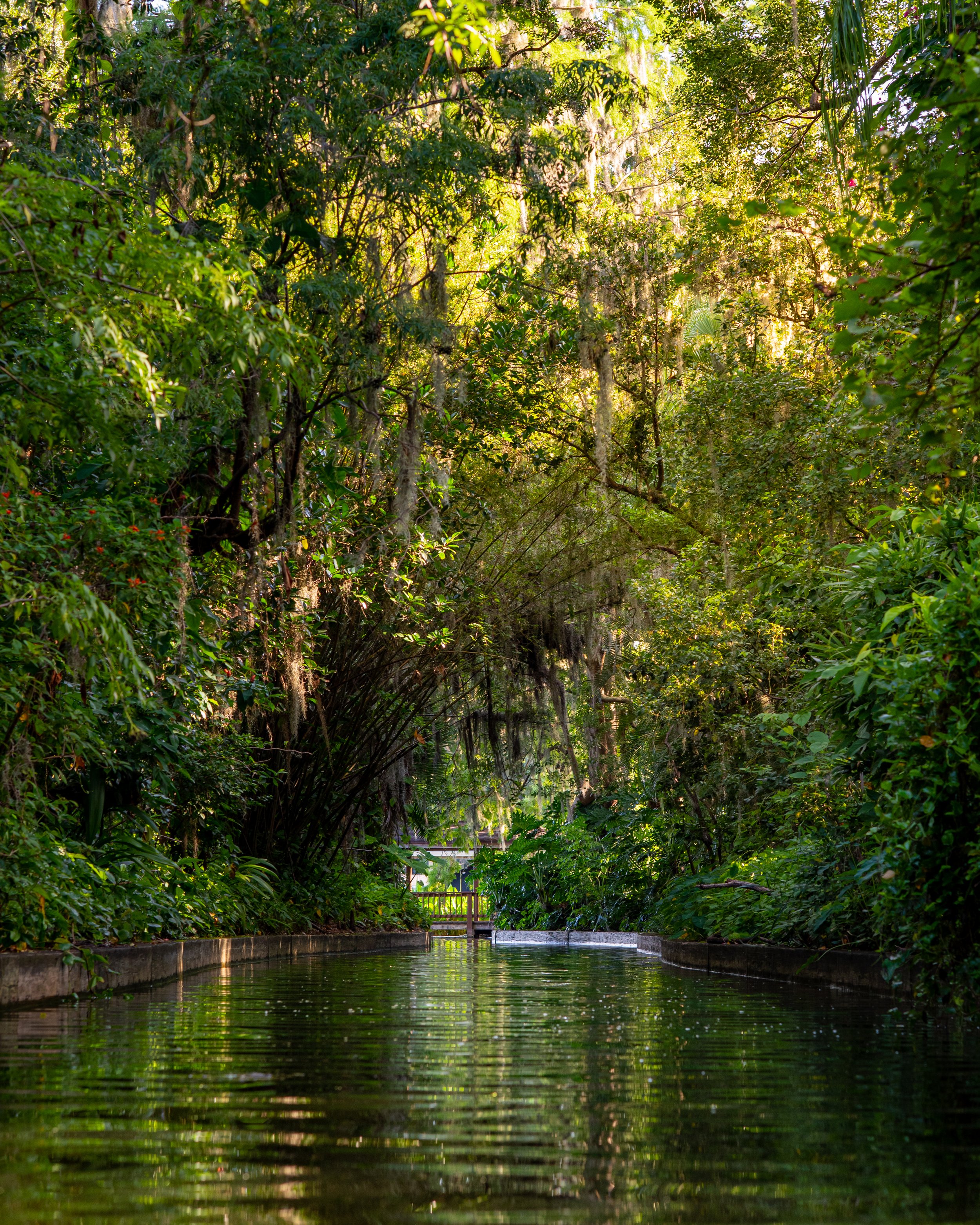 Fern Canal