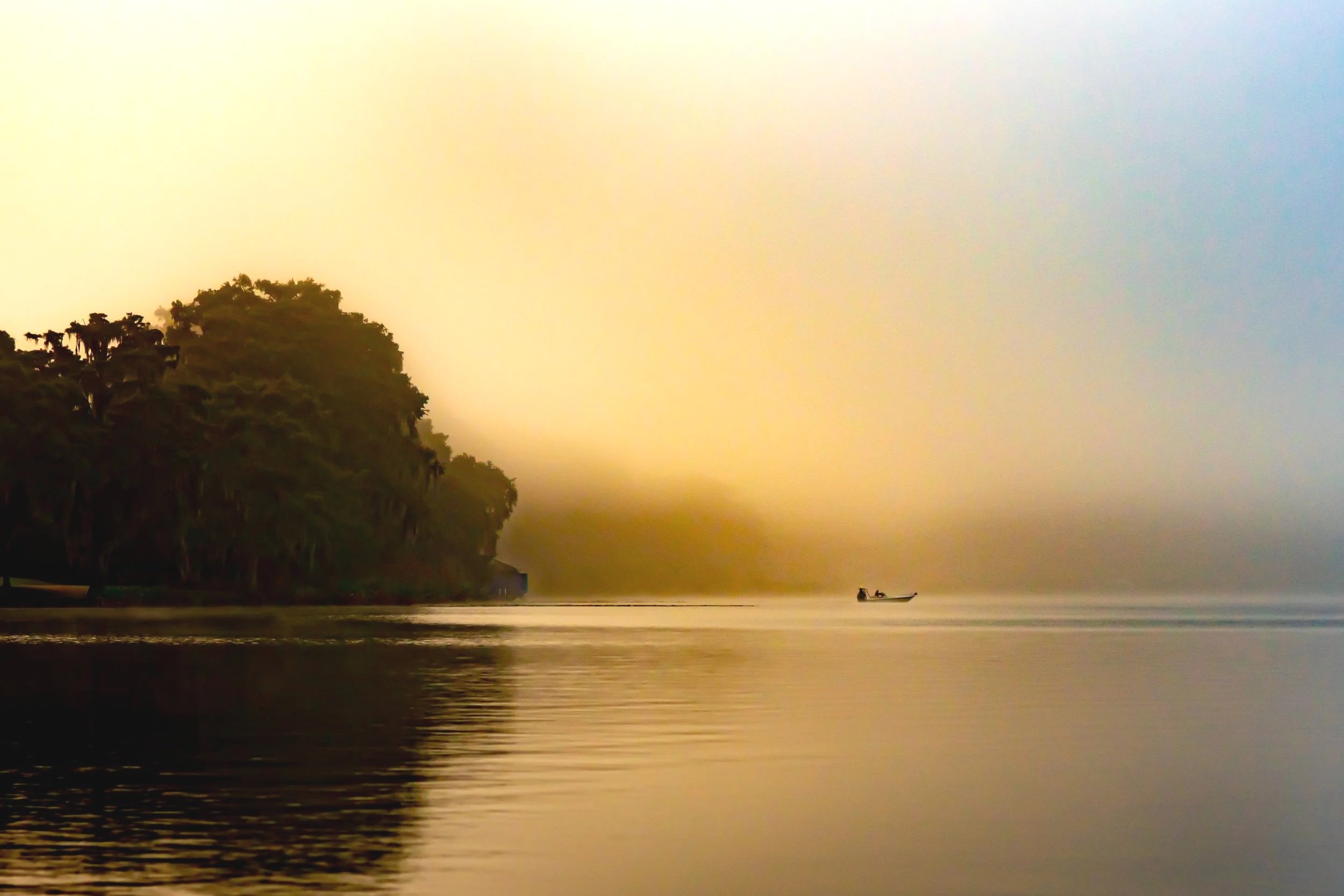 Fog
