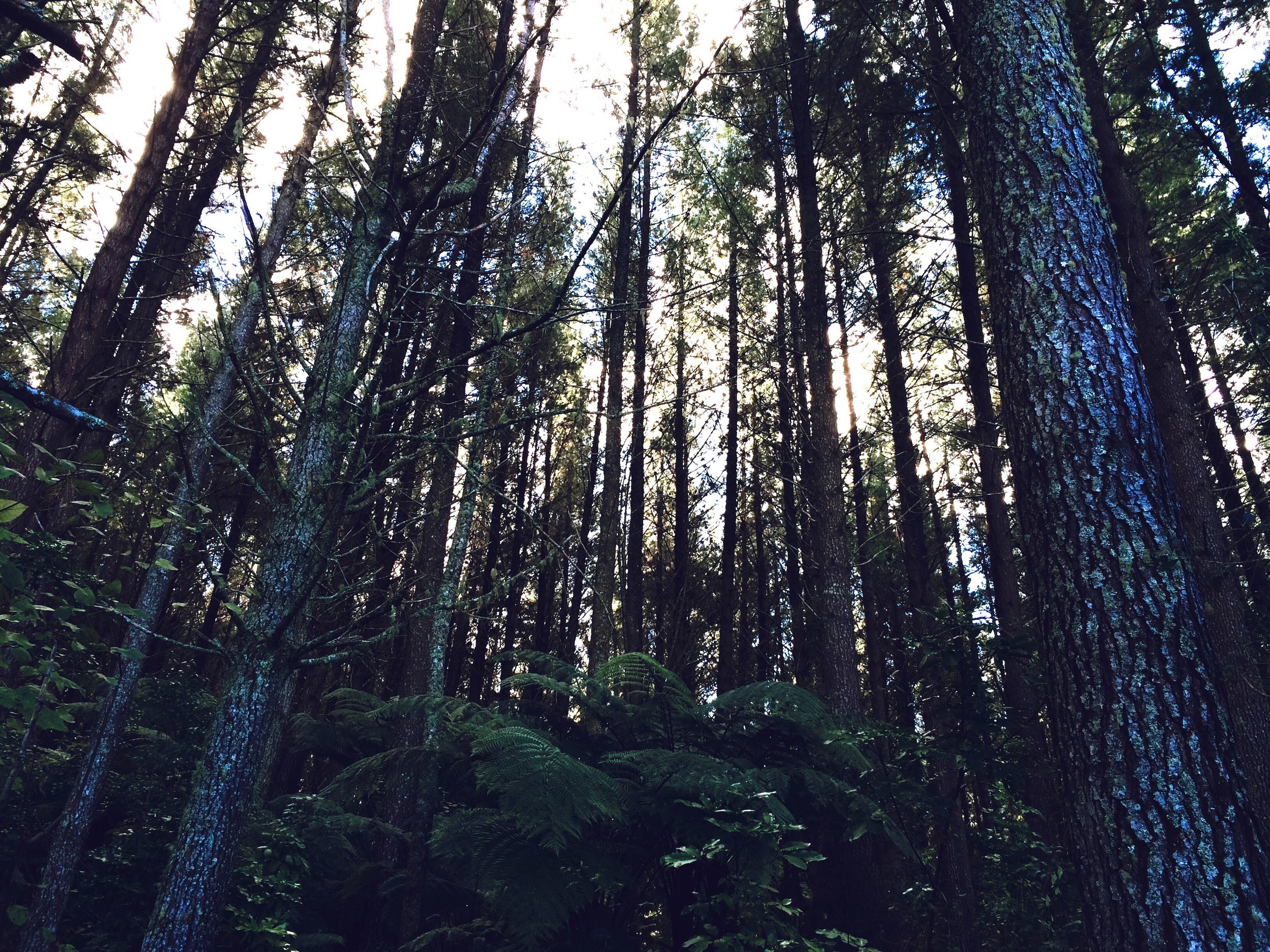 Living The Gratitude: Tips On How To Make Gratitude Journaling A Habit