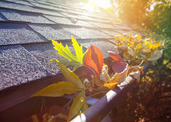 gutter_cleaning.jpg