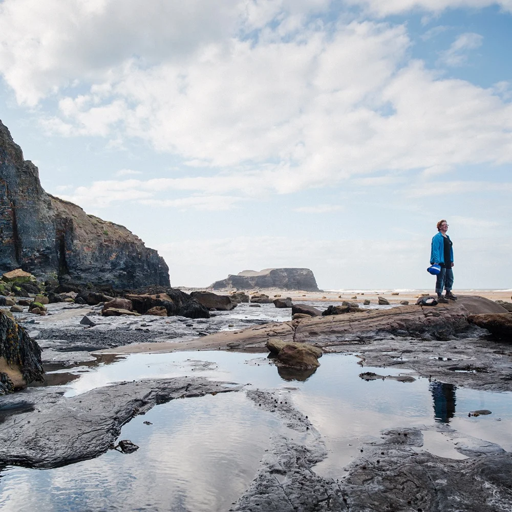 Photograph by Andrew Shaylor