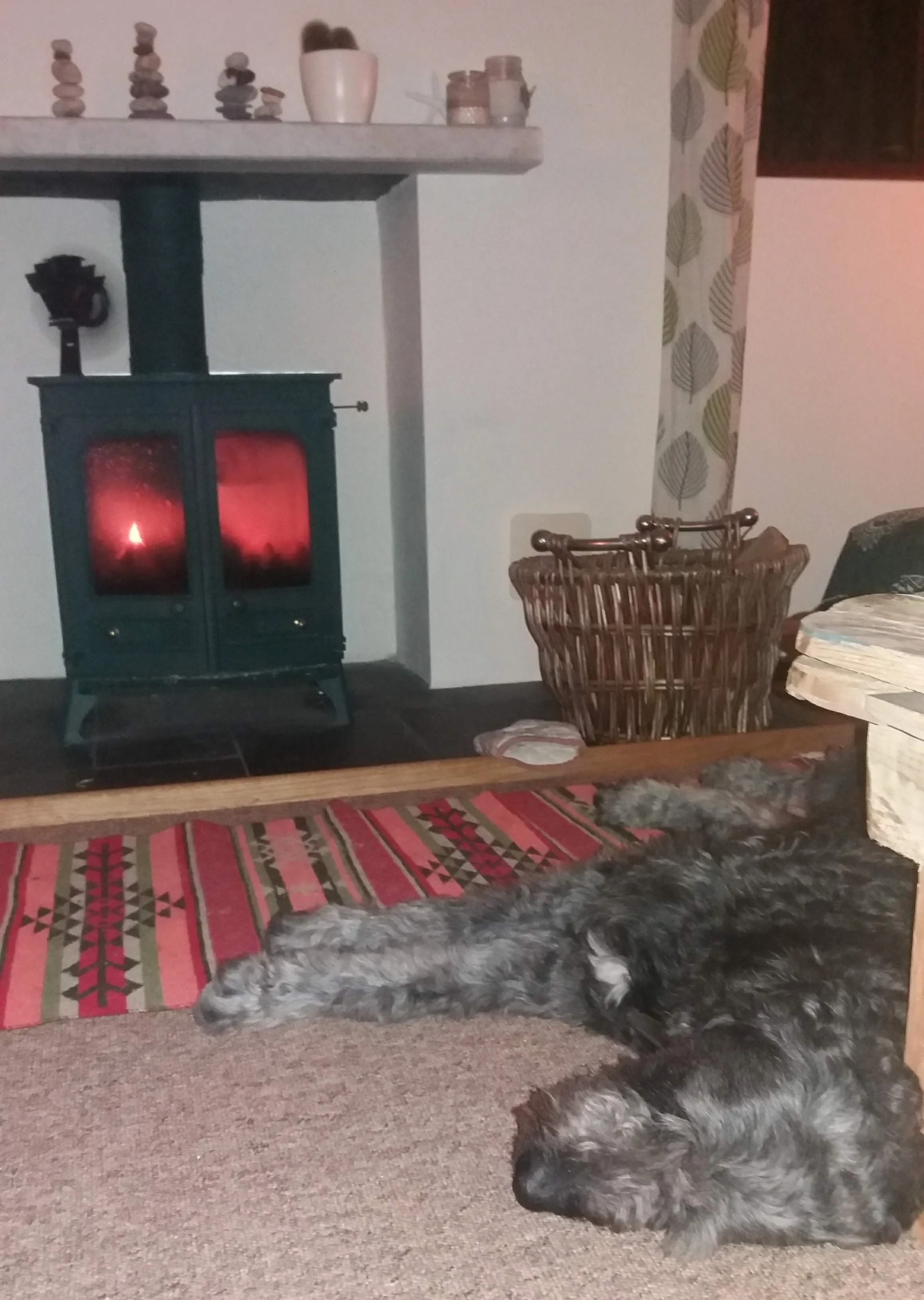 20181001_205213.jpg