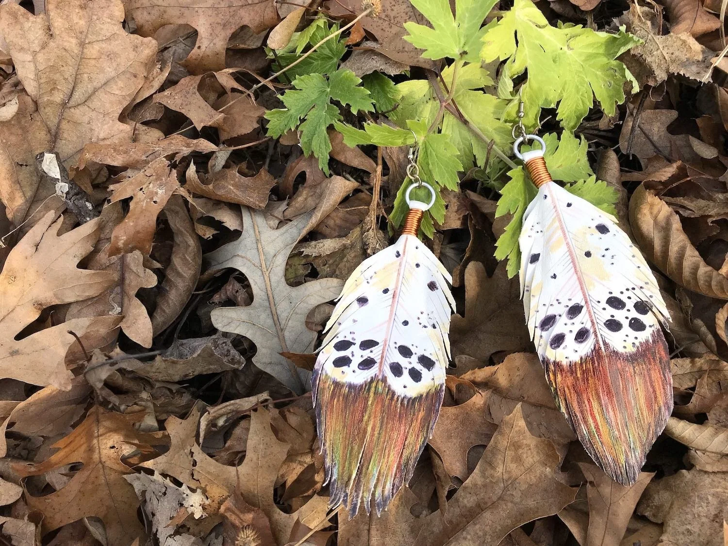 Crowned Eagle FRONT.jpeg