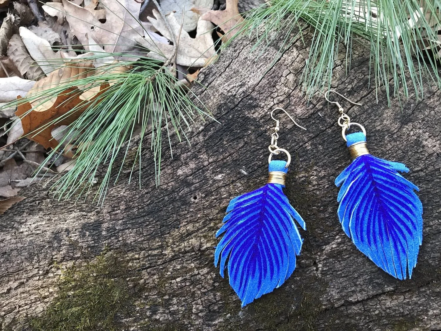 Hyacinth Macaw FRONT.jpeg