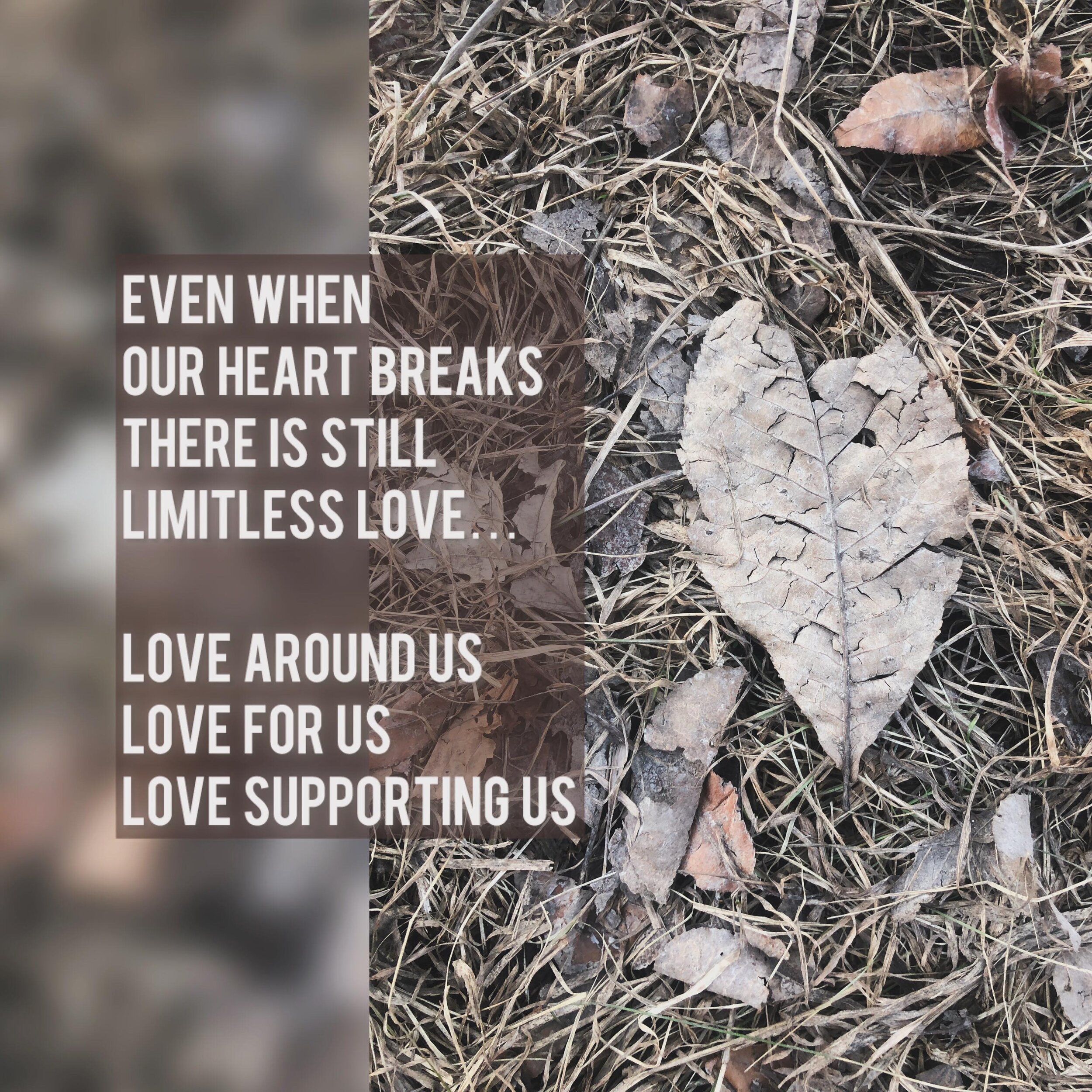 Even when our heart breaks, there is still limitless love&hellip;

Love around us
Love for us
Love supporting us

#heartsinnature 
#youareloved❤️ 
#loveisallaround 
#loveisallaroundus
#loveiseverywhere 
#heartshaped 
#loveiseverywhere 
#natureislove