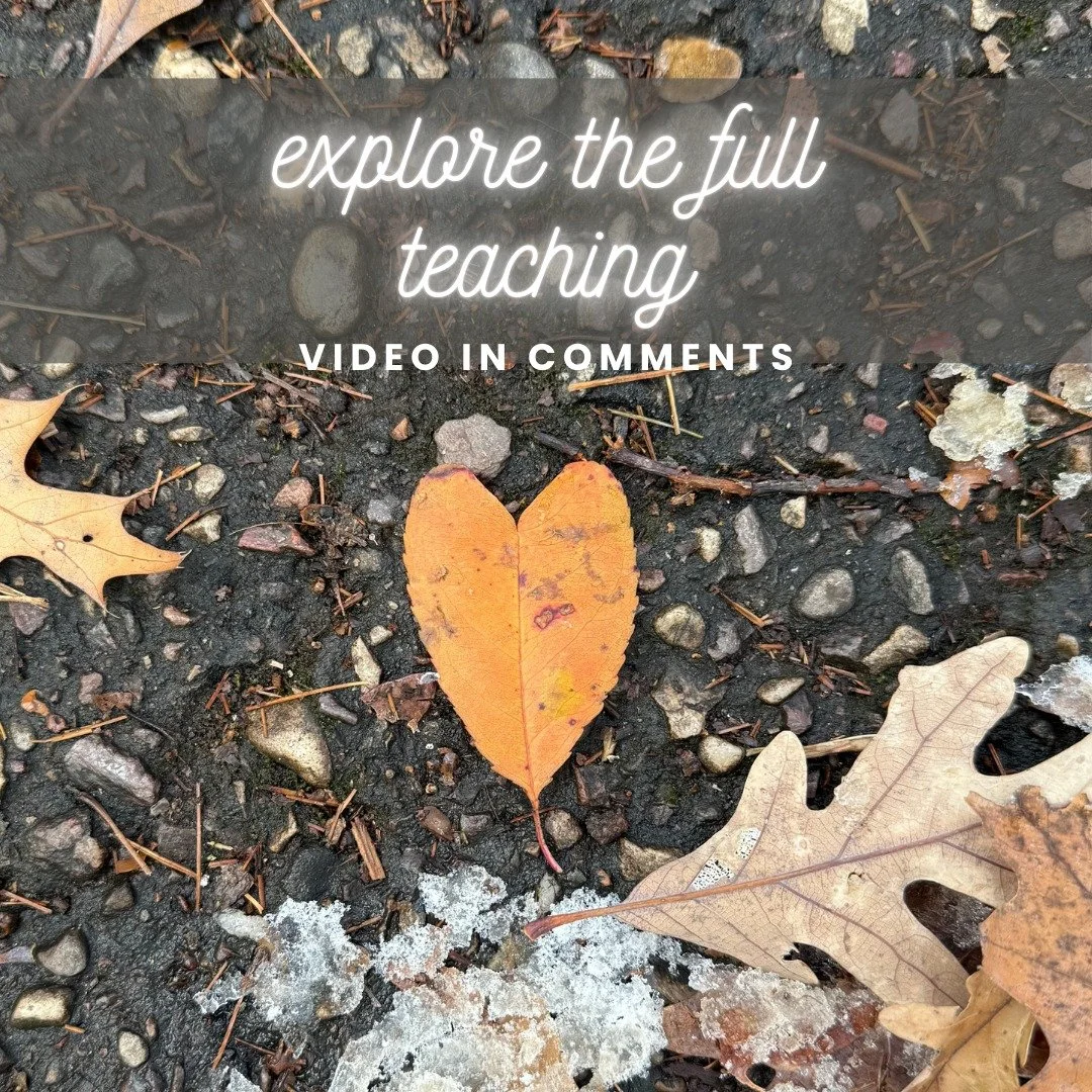 ✨ THIS LEAF HAS A MESSAGE FOR YOU&hellip;

🌿 NATURE SPEAKS: 𝑨 𝑺𝒉𝒐𝒓𝒕 𝑻𝒆𝒂𝒄𝒉𝒊𝒏𝒈 𝒊𝒏 𝑳𝒆𝒂𝒓𝒏𝒊𝒏𝒈 𝒕𝒉𝒆 𝑳𝒂𝒏𝒈𝒖𝒂𝒈𝒆 𝒐𝒇 𝑵𝒂𝒕𝒖𝒓𝒆

In talking with this leaf, it told me:

&ldquo;Like me, you are never late&mdash;you are alwa