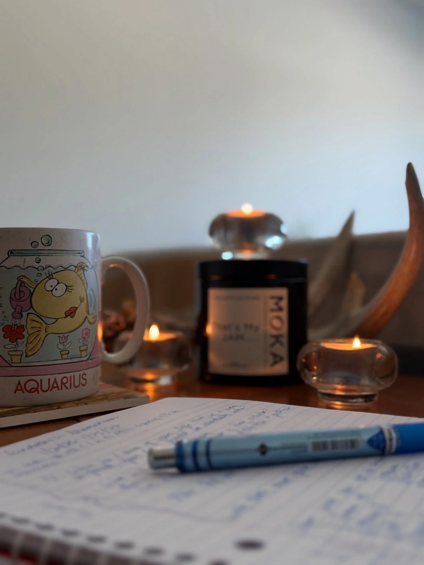 I&rsquo;m preparing to teach Foundations in Shamanism this weekend and am getting SO excited!

Sharing shamanism is one of my favorite things in the world. 

It&rsquo;s the highest of highs to witness someone run with the work and report back regardi