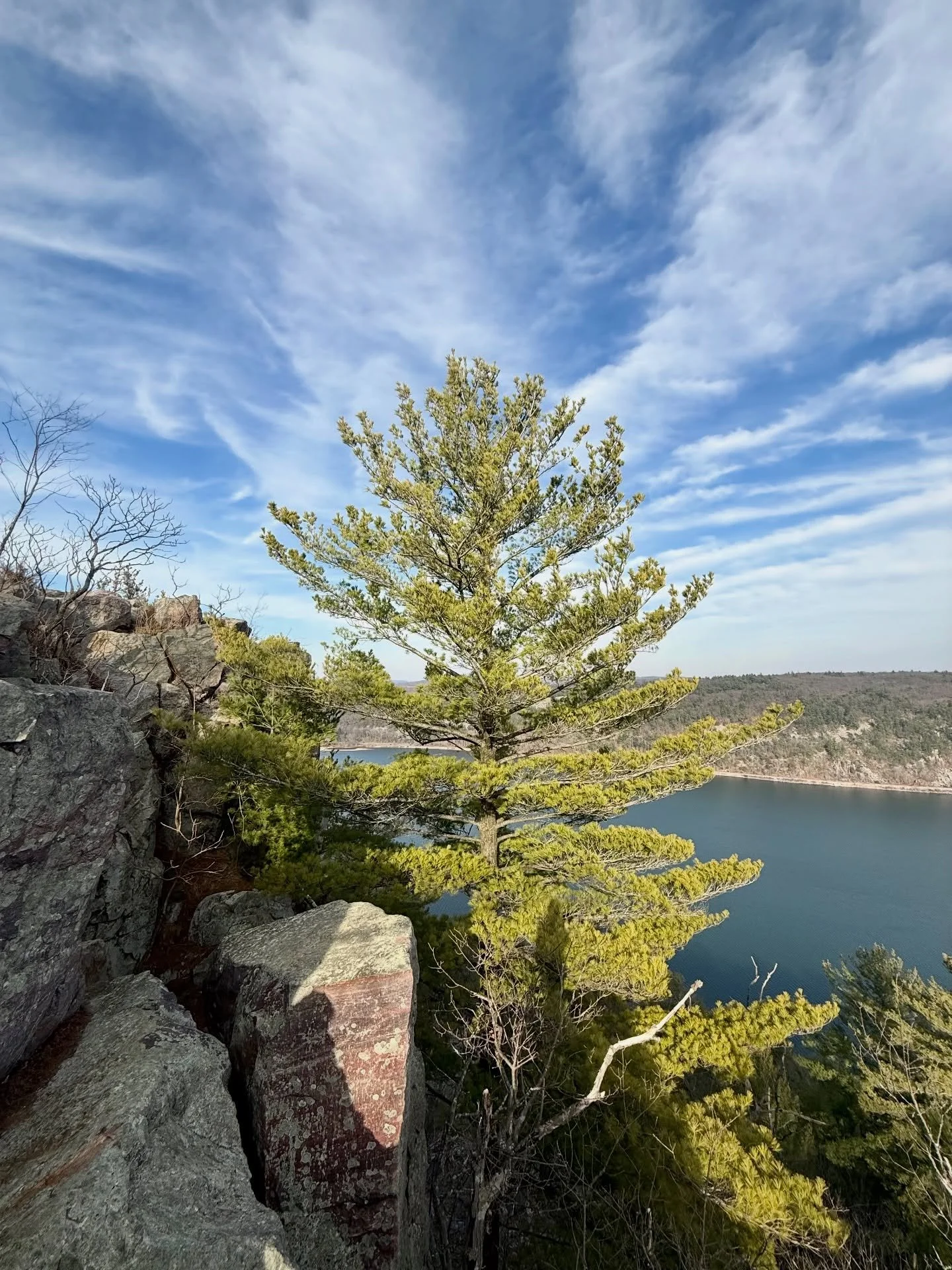 &lsquo;Twas a beautiful day in the neighborhood 🤩

#natureismychurch #natureismytherapy #soulfamily #shamanic #reikihealingenergy