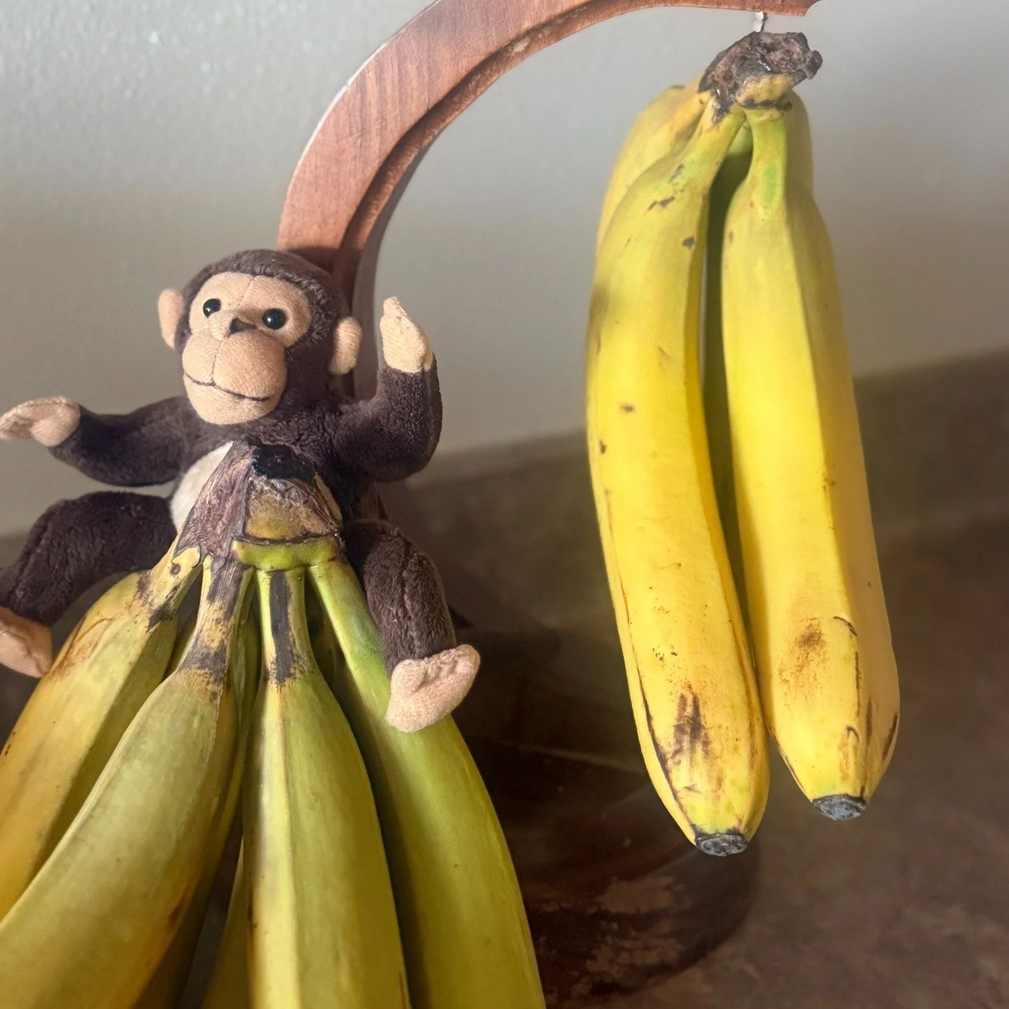 Monkey just wants to remind you to do something fun today. Be playful. Be silly.