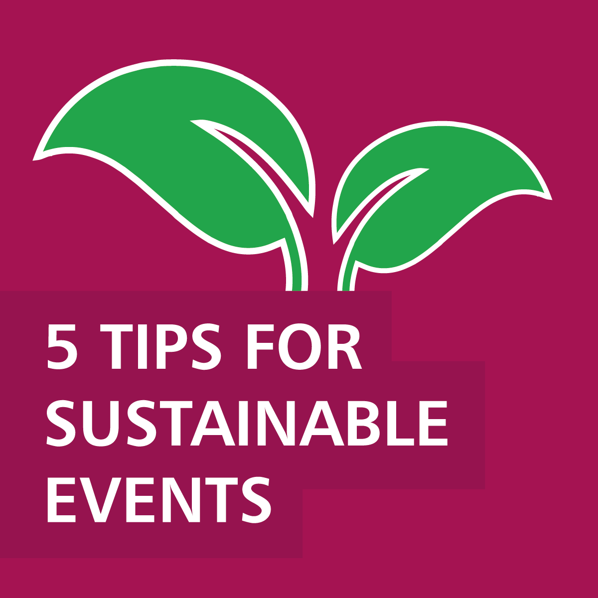 5 Tips for Sustainable Events  