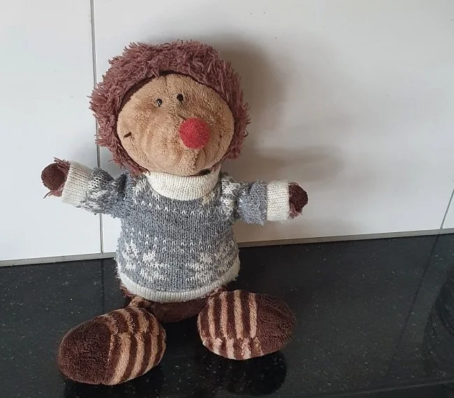 Nick, der kleine Igel