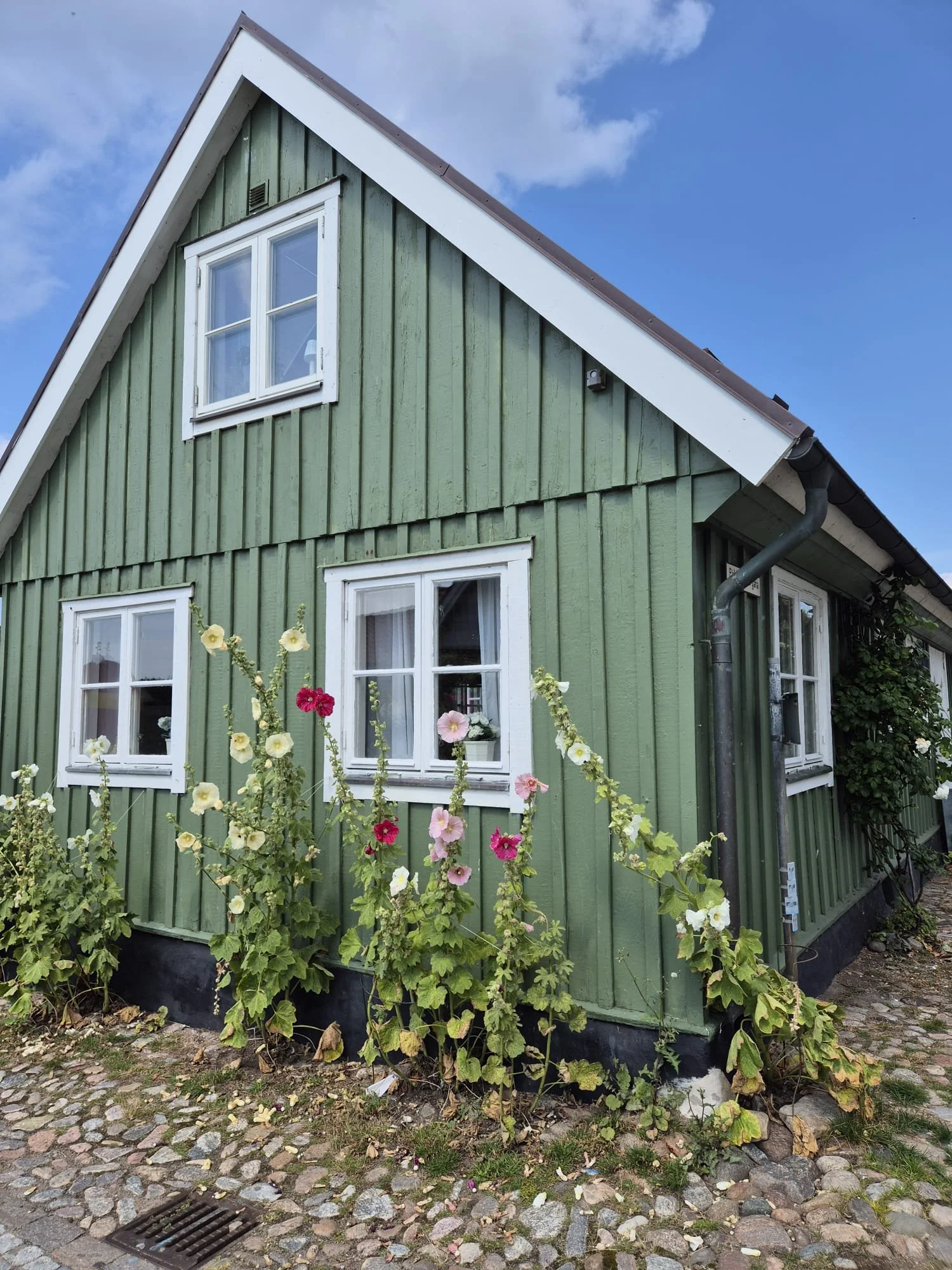 Wachstum trotz widrigen Umständen