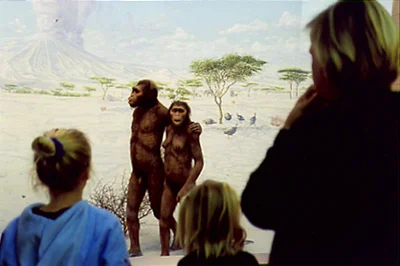 Evolution II C-print, 20" x 30", 2004