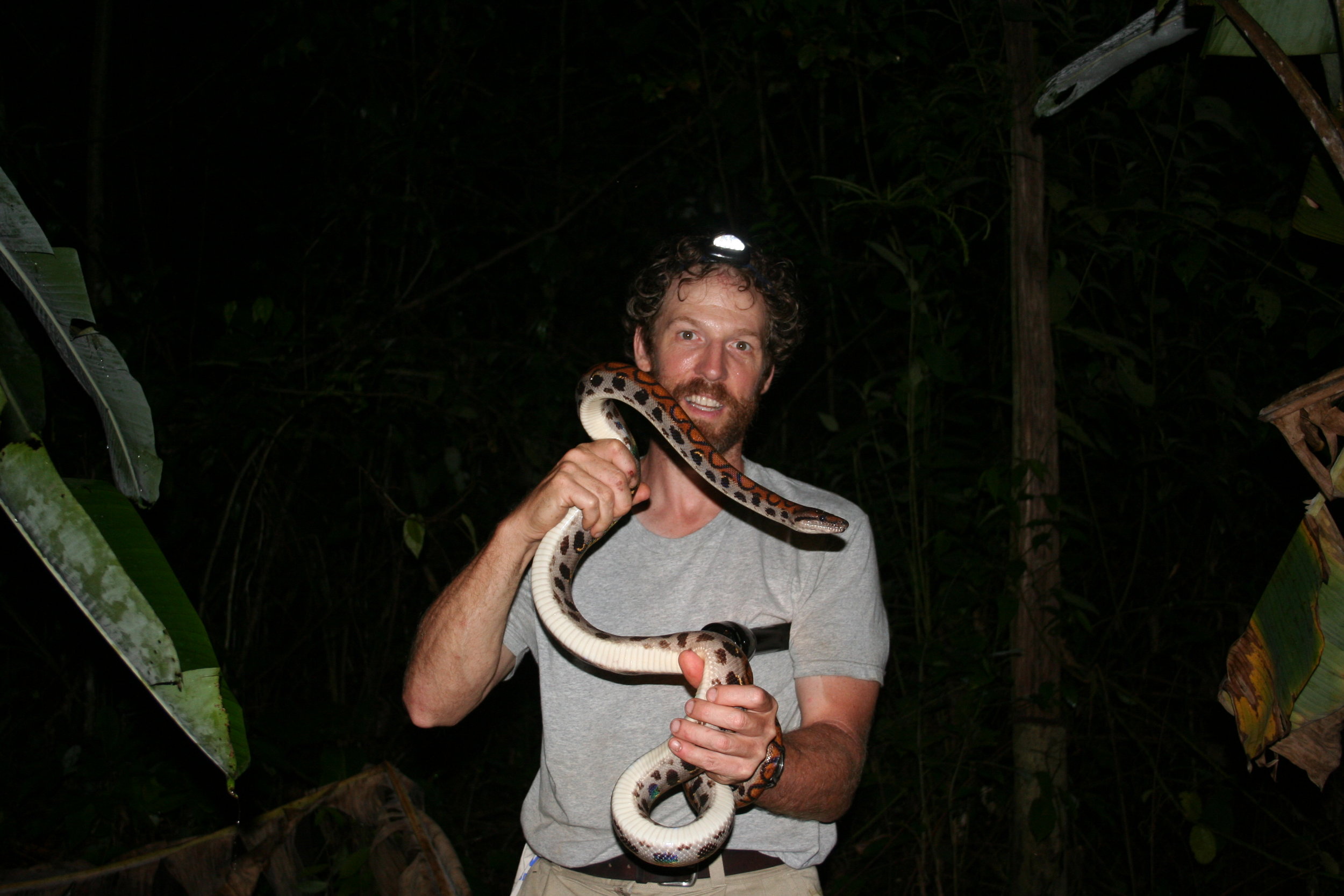 Rainbow boa found  on a night hike.jpg